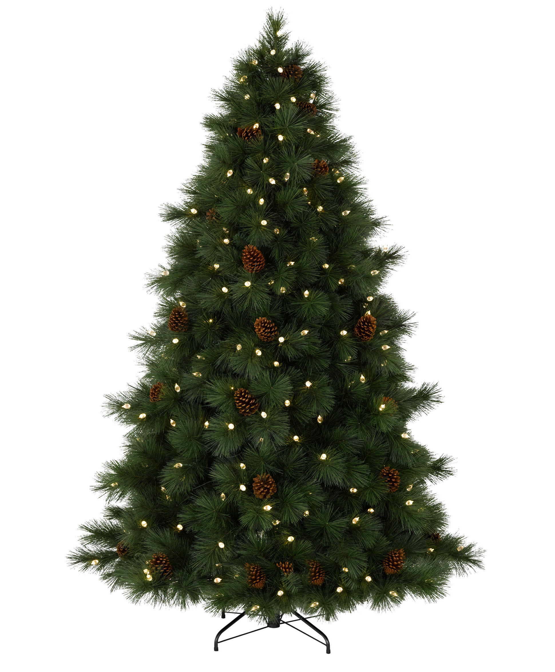 Virginian Pine Christmas Tree | Tree Classics