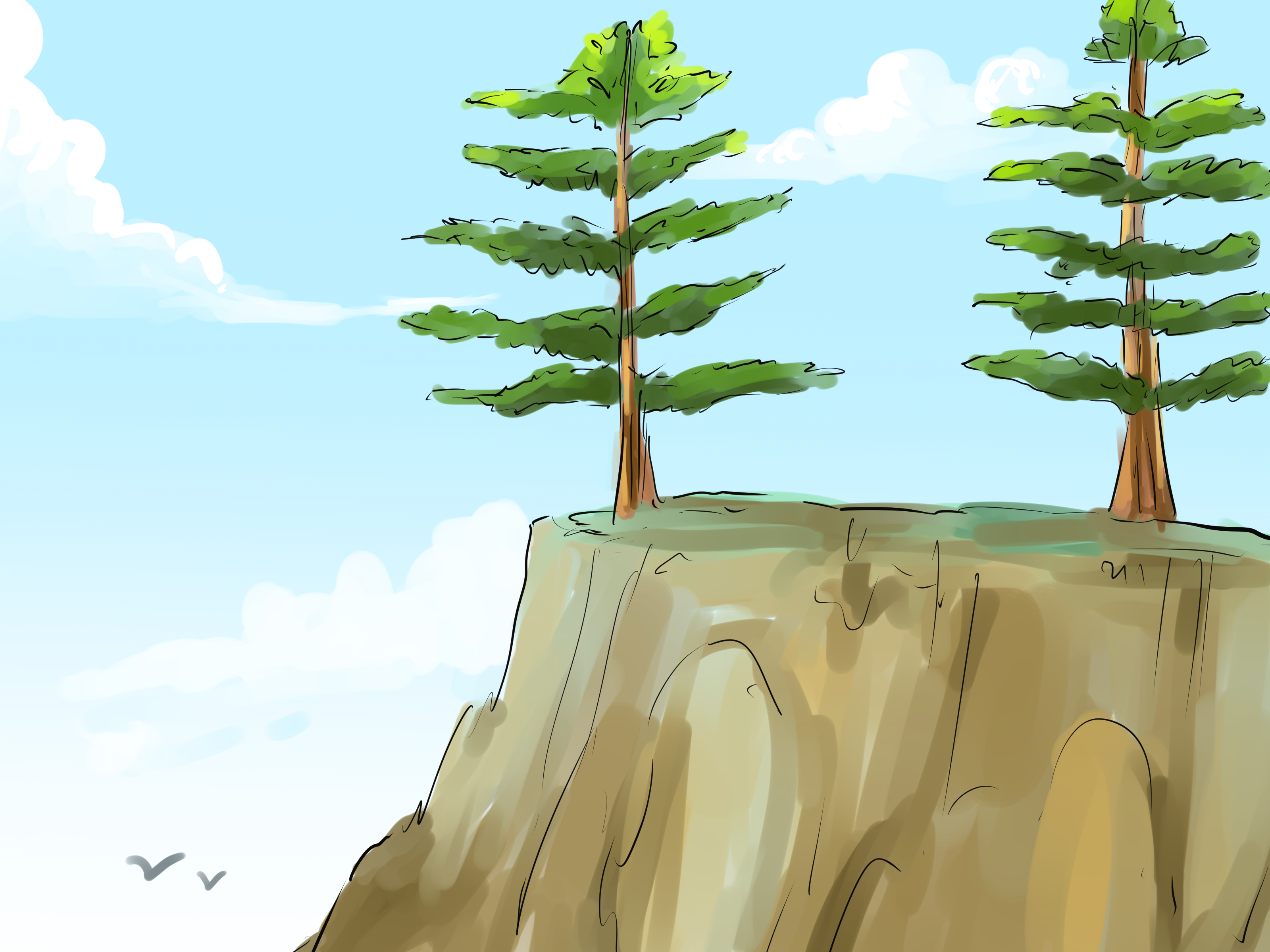 How to Identify Pine Trees: 11 Steps (with Pictures) - wikiHow