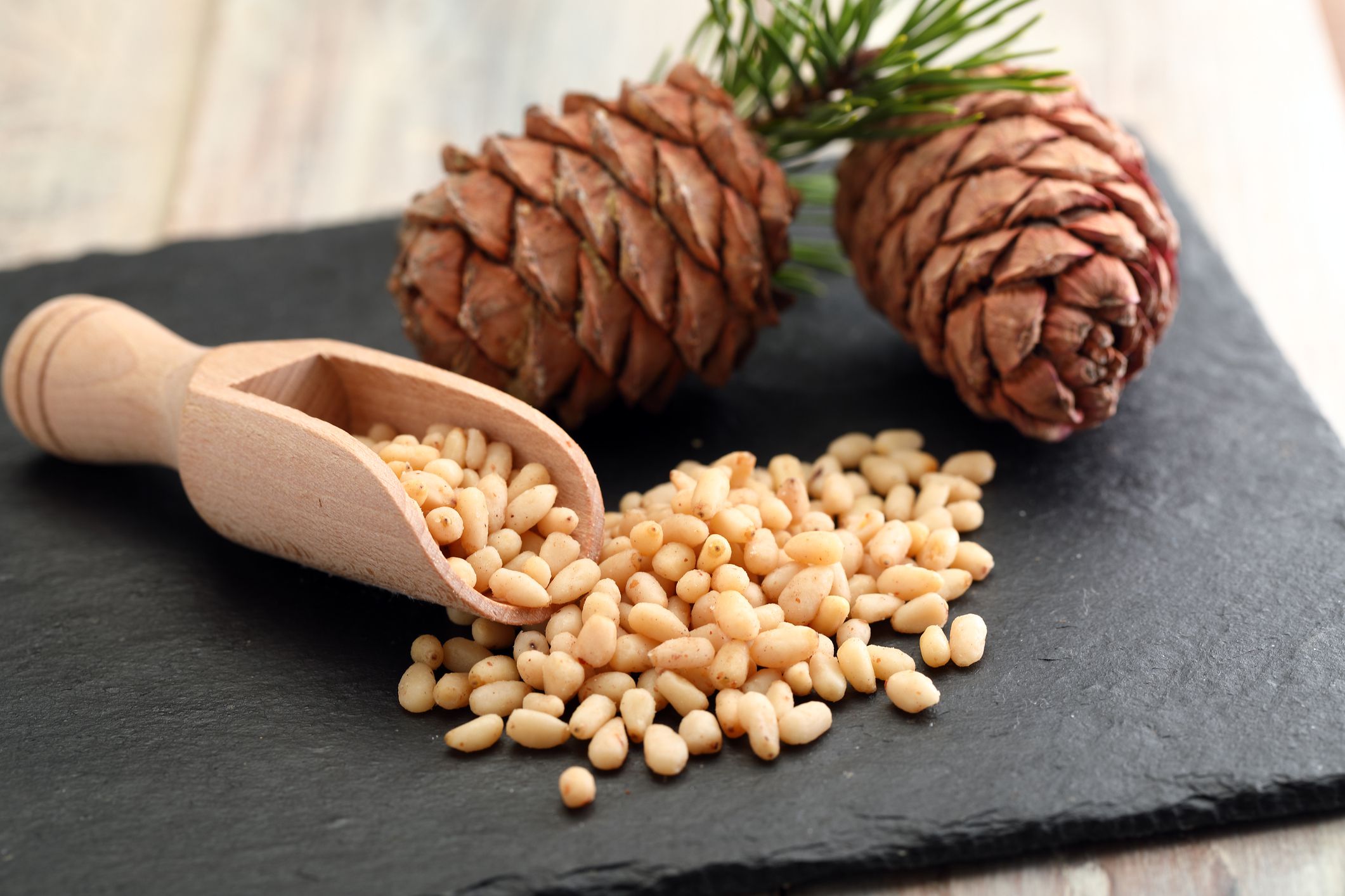 Where Do Pine Nuts Come From?