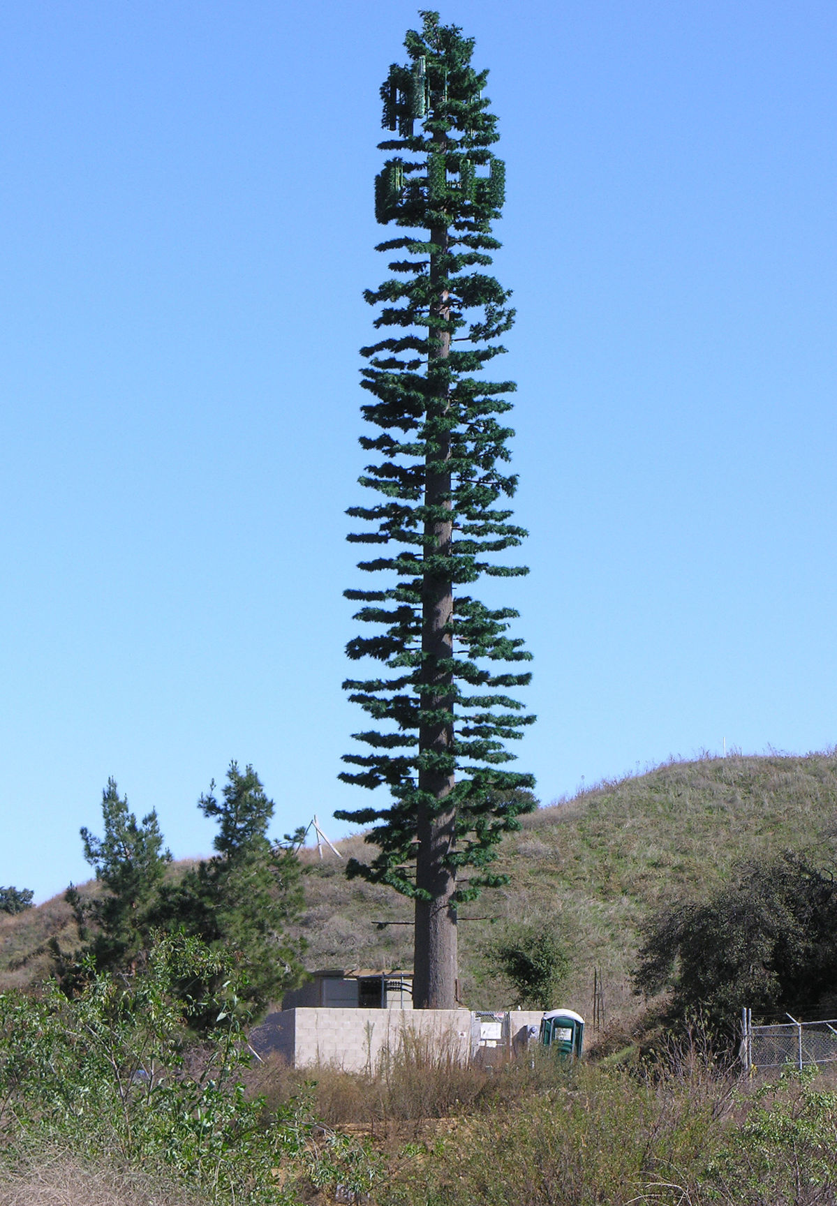 Residents oppose plan for cell tower disguised as pine tree ...
