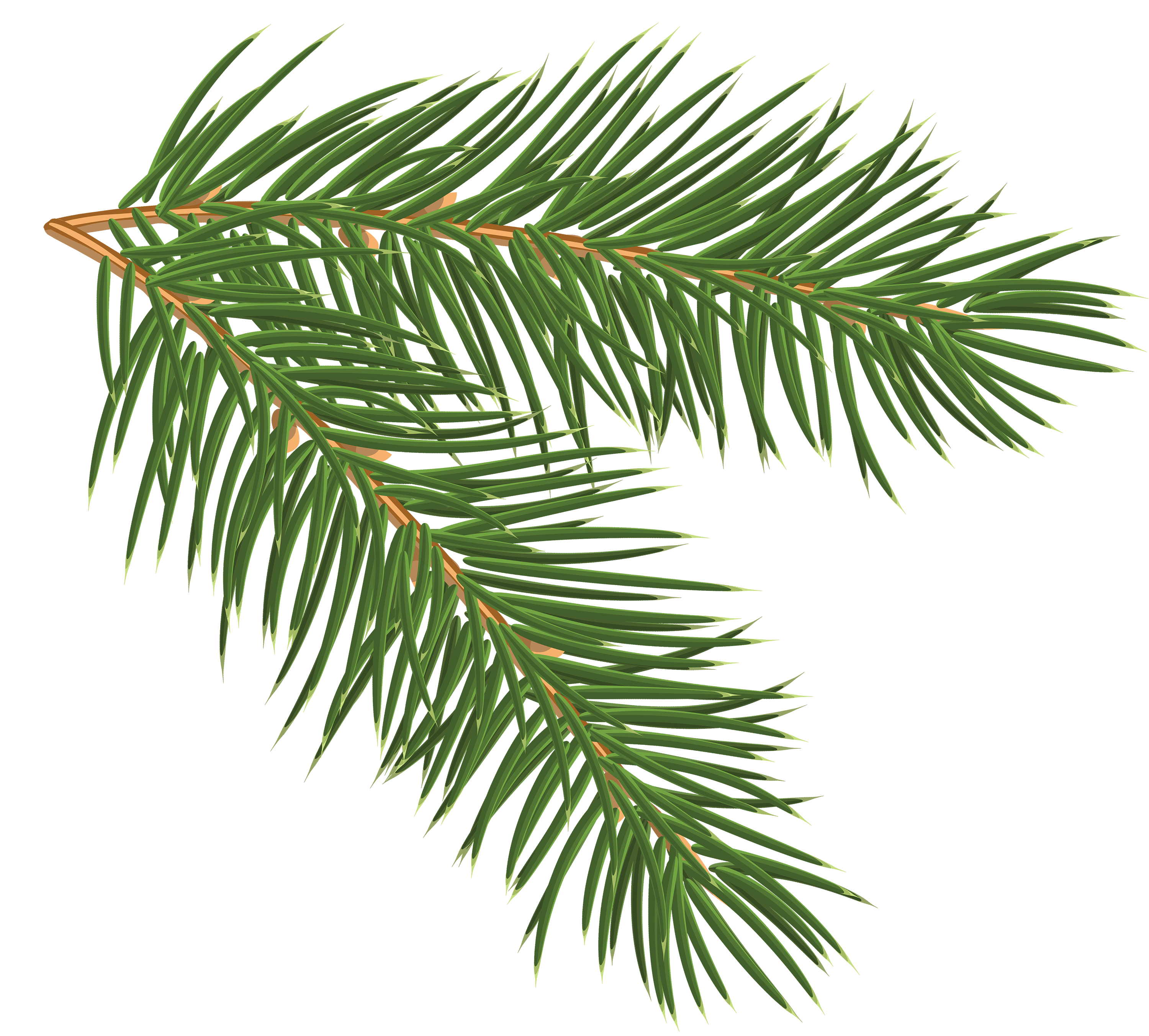 Pine Branch PNG Clip-Art Image | Gallery Yopriceville - High ...