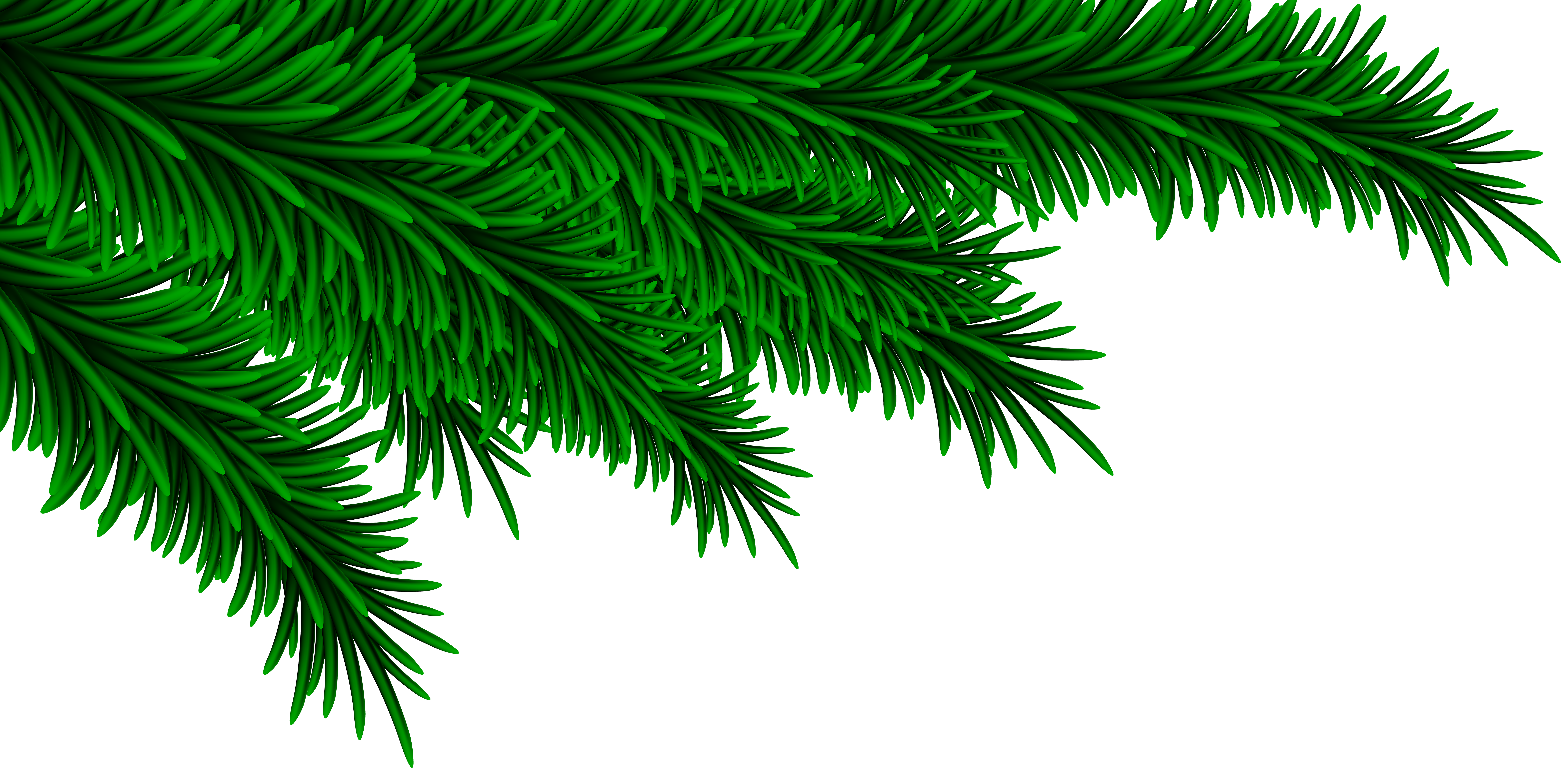 Christmas Pine Branches Decorating PNG Clip Art Image | Gallery ...