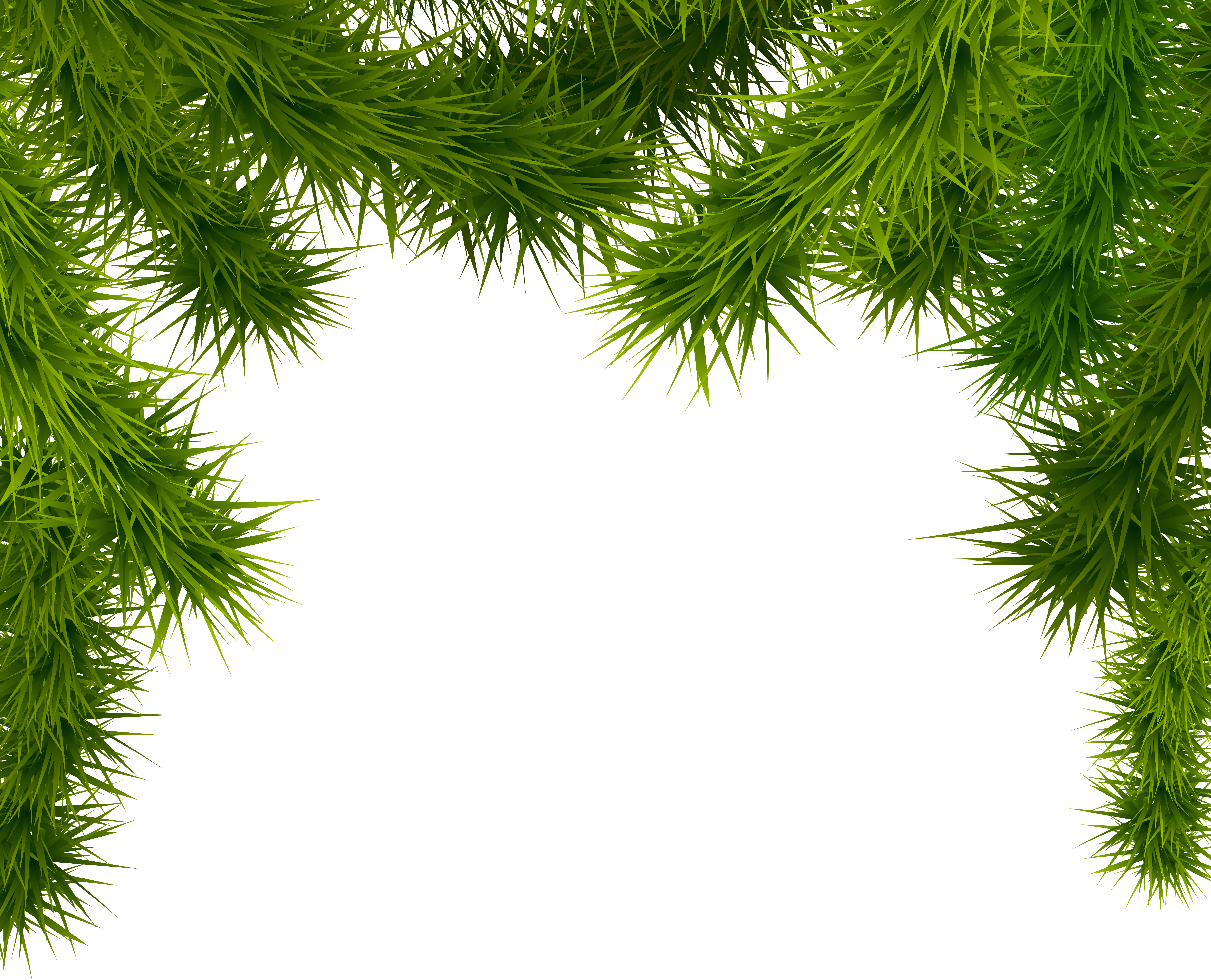 Pine Branches PNG Clipart Image | Gallery Yopriceville - High ...