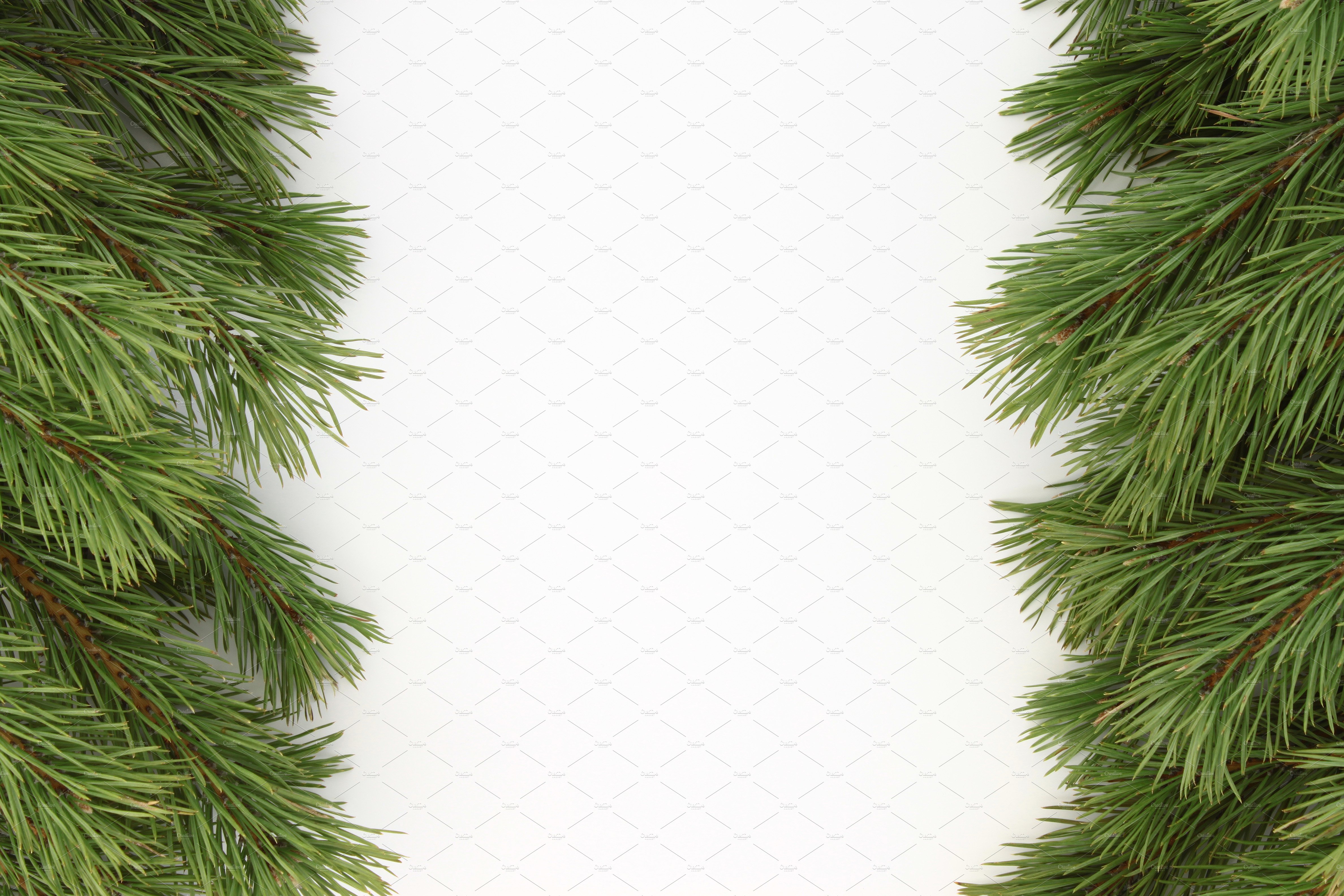 Frame of pine branches.Flat lay. ~ Holiday Photos ~ Creative Market