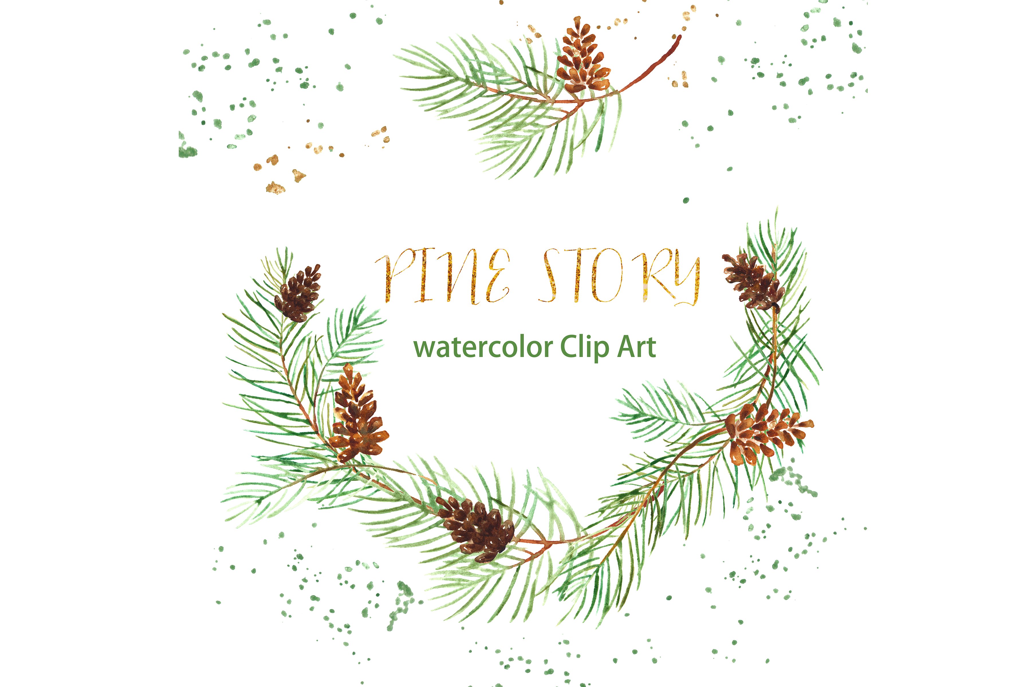 Pine branches. Watercolor Clipart. ~ Illustrations ~ Creative Market