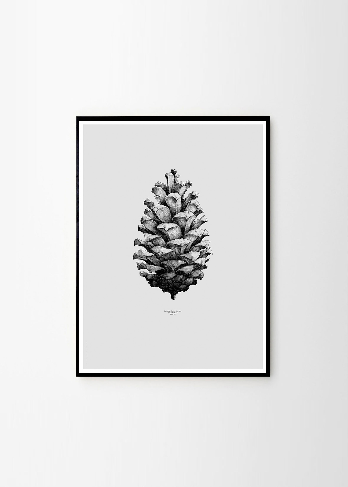 Paper Collective, Pine cone Grey - THE POSTER CLUB