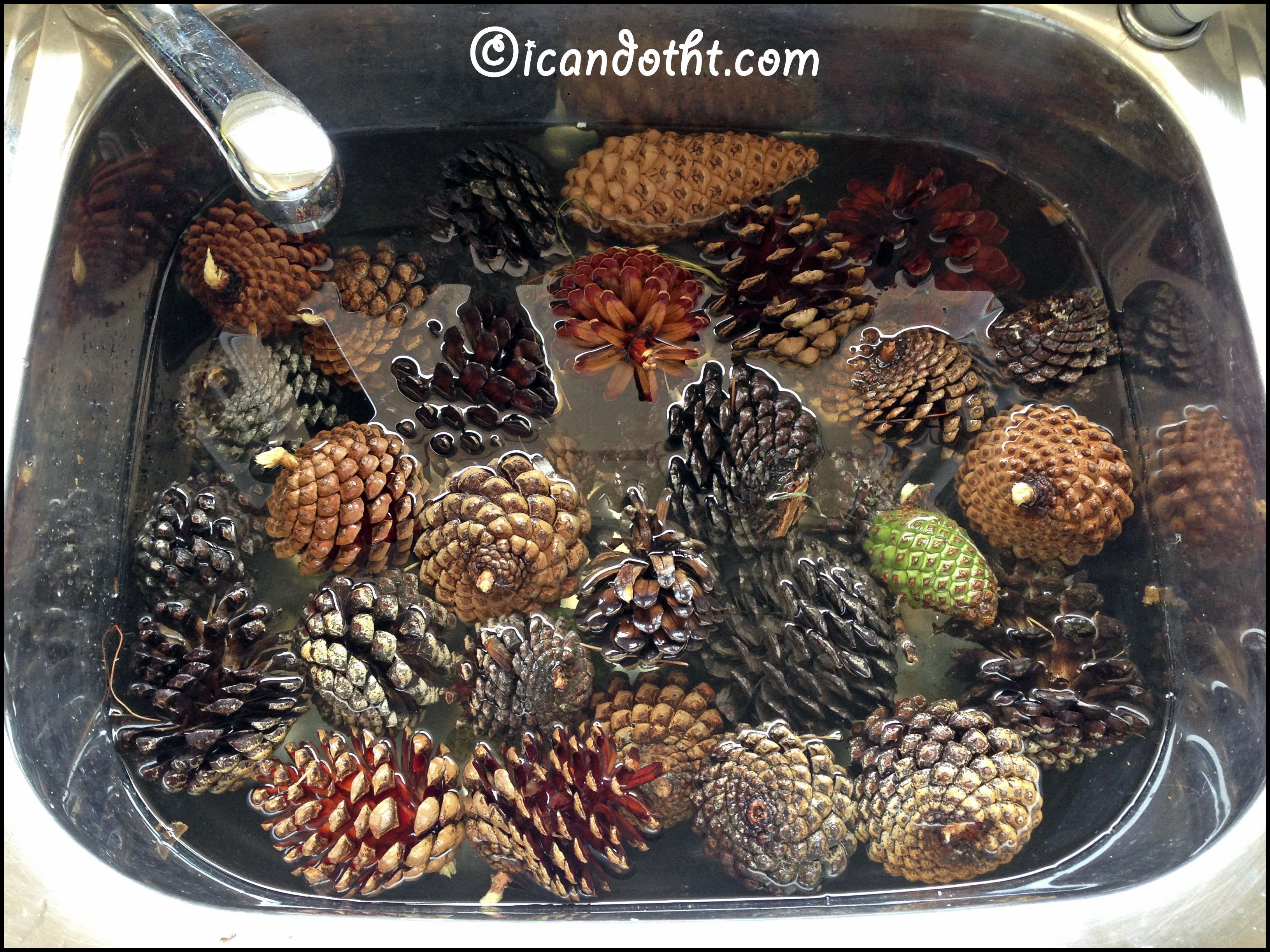 Gilded Christmas Pinecones – I can do that!