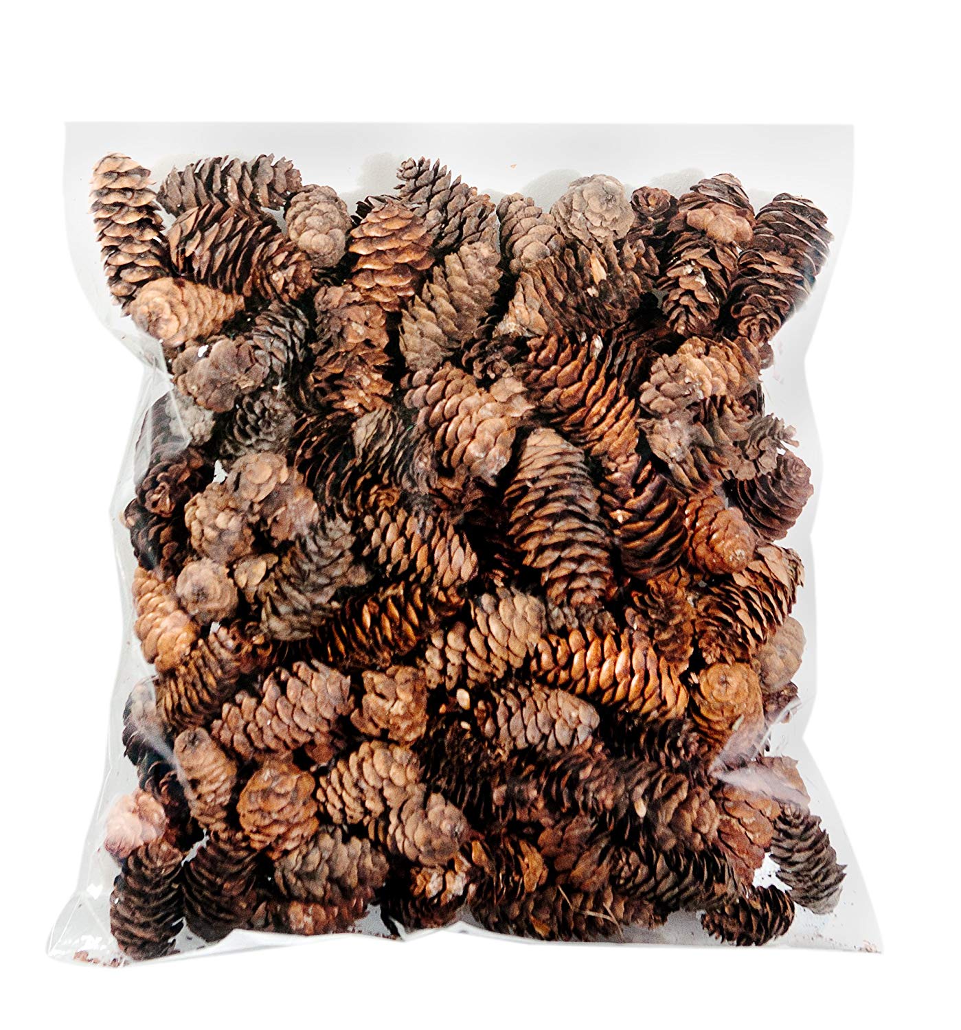 Amazon.com : SuperMoss (24511) Black Spruce Pine Cones, 8-Ounce ...