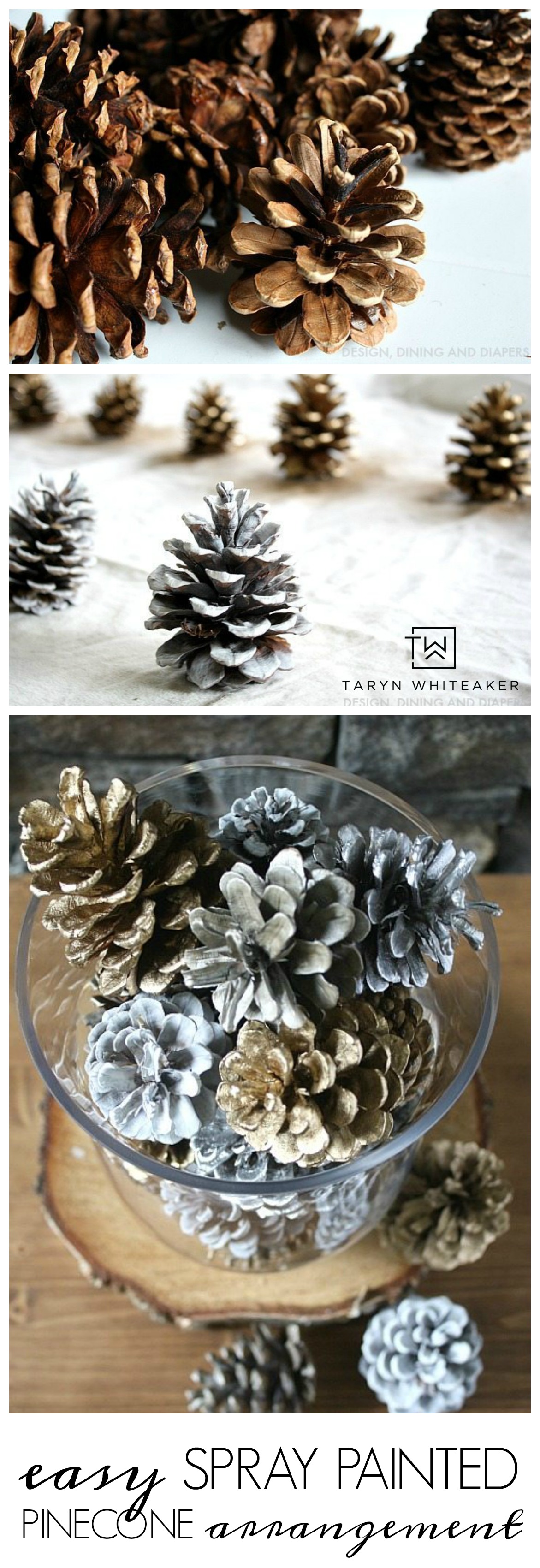 Quick Holiday Decor: Spray Painted Pine Cones - Taryn Whiteaker