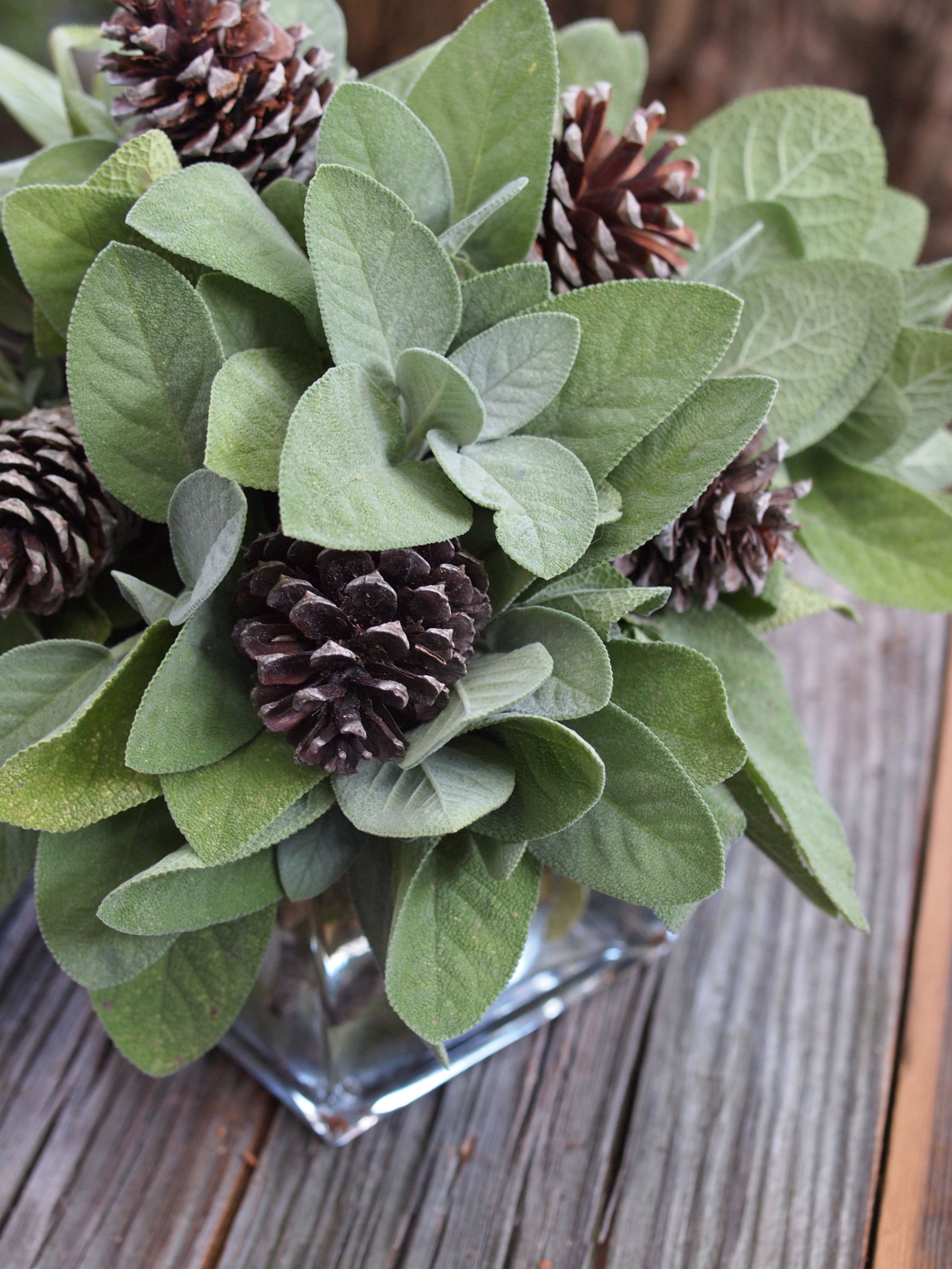Sage & Pine Cone Centerpiece. This would also be great with ...