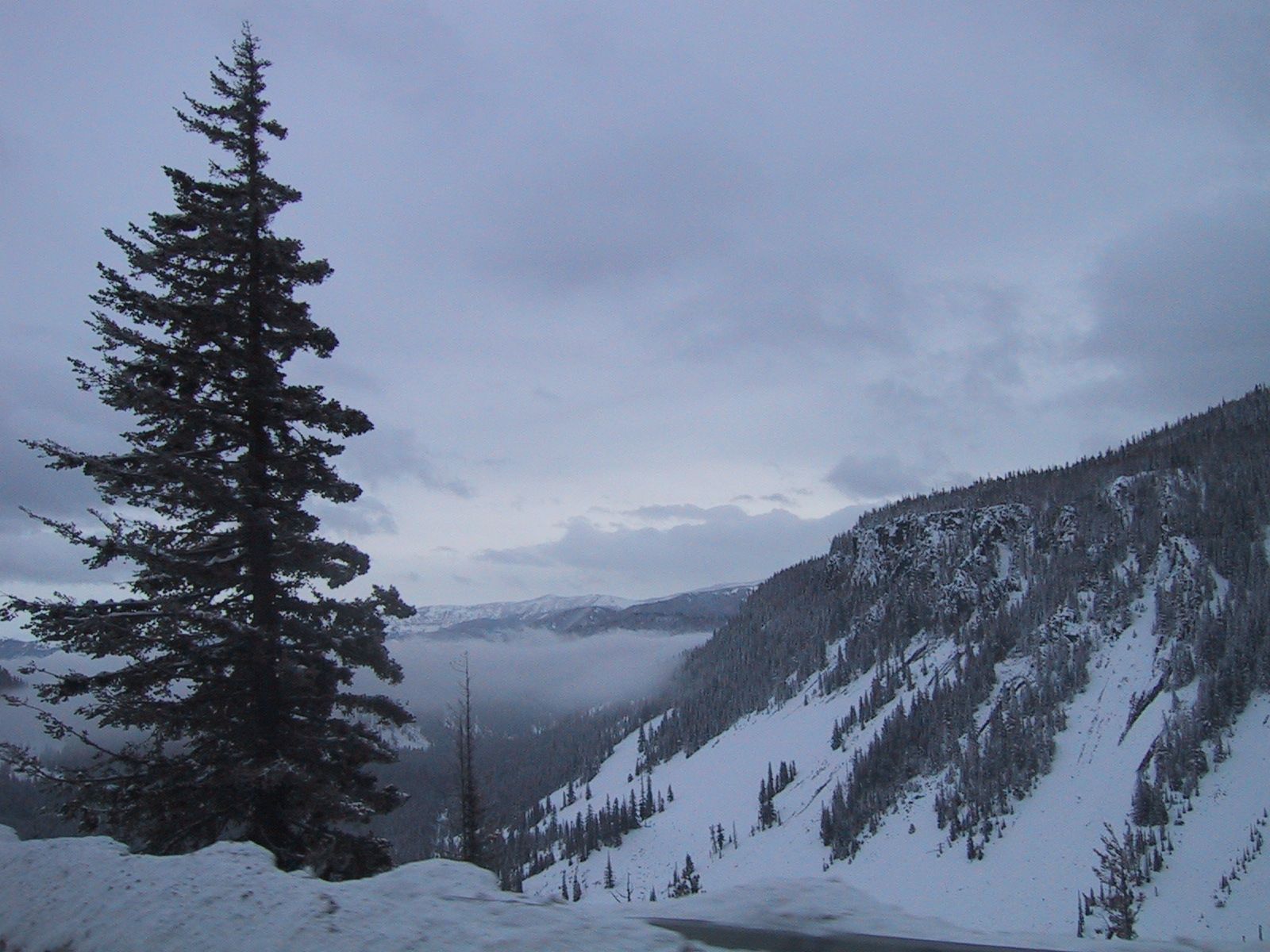 File:Mountain overlook with pine tree snow and clouds.jpg ...