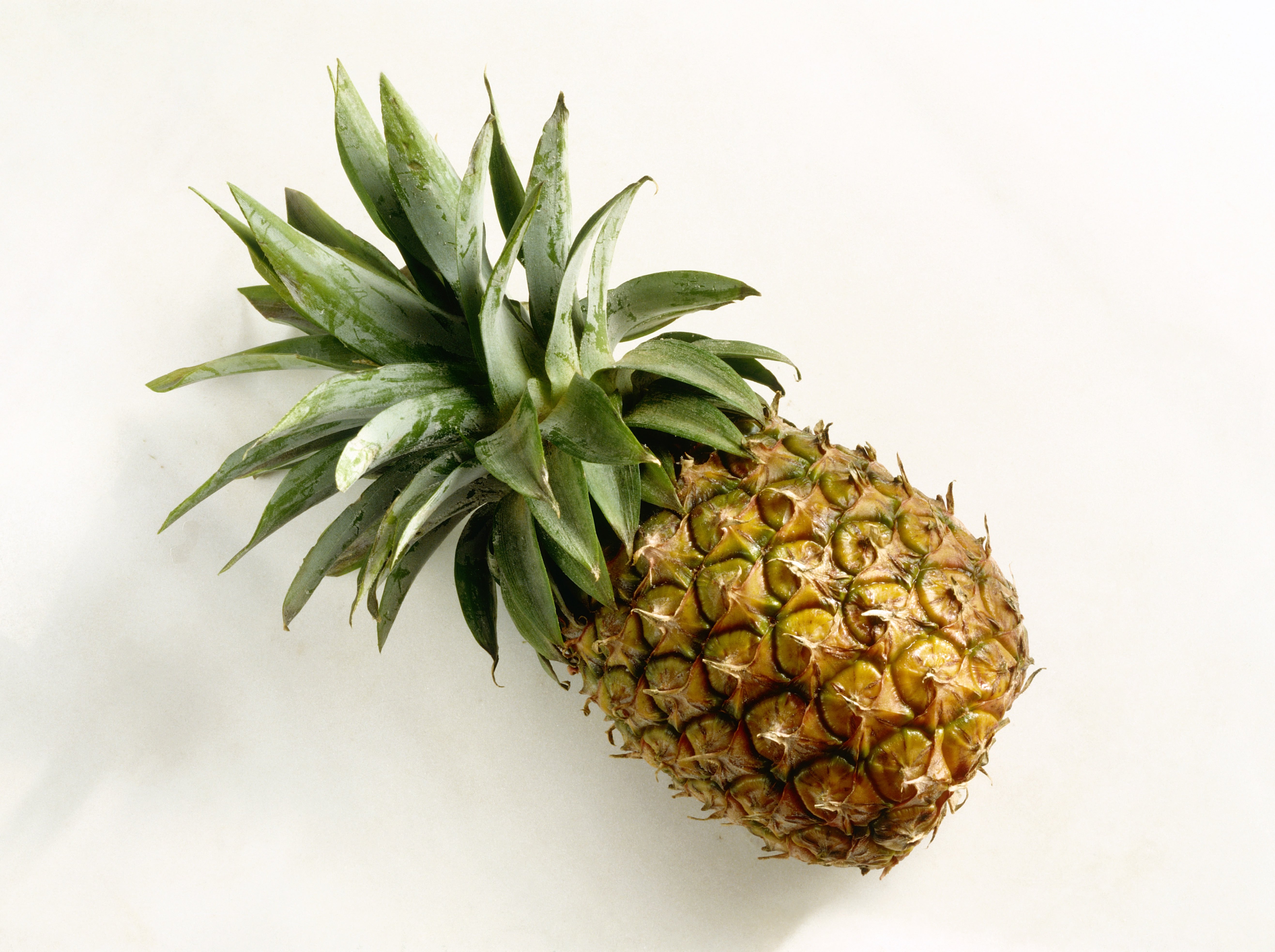 Pineapple Prank Mistaken for Art at Exhibit | Time