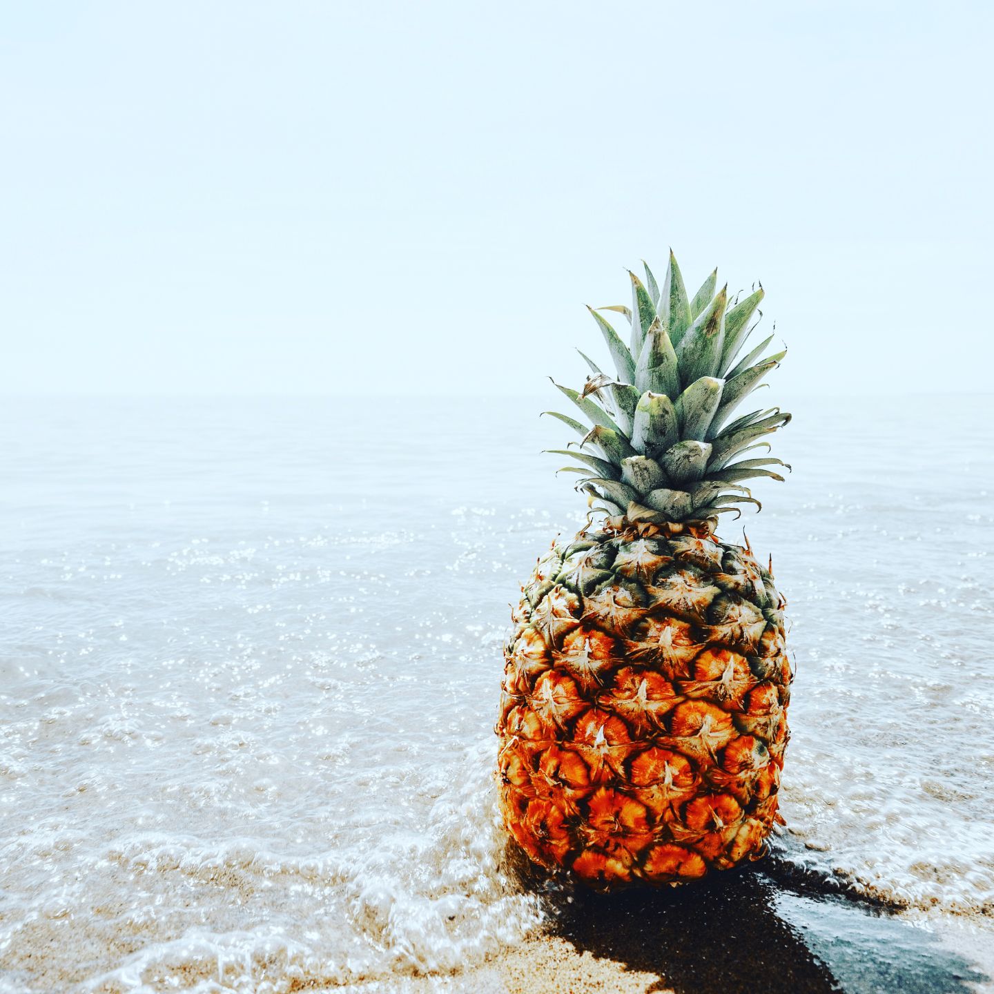 Pineapple Supply Co. | Pineapple shop on a mission to spread good vibes