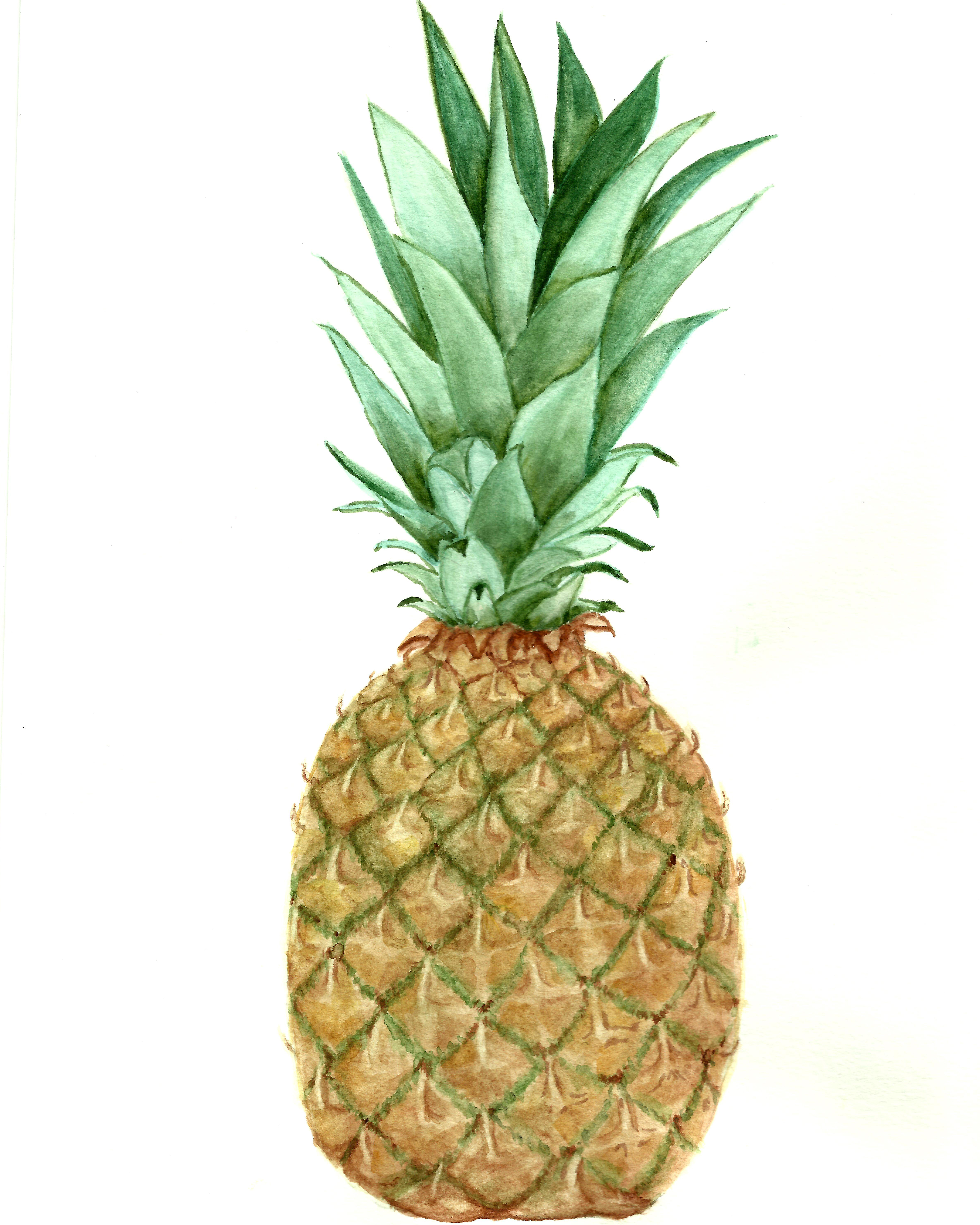 Free Pineapple Watercolor Printable! - The Graphics Fairy