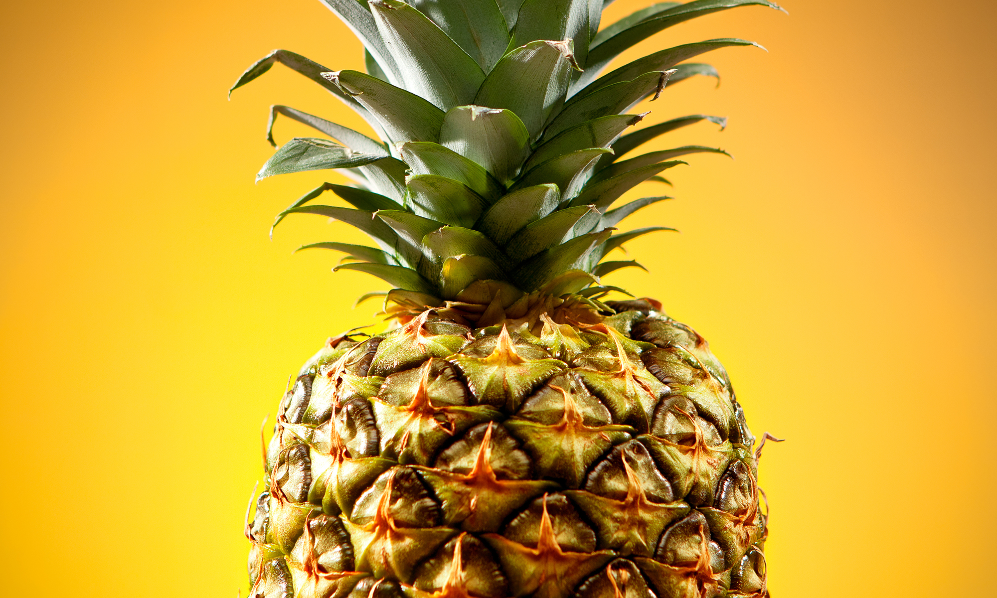 Why do pineapple enzymes tenderize steak -- and your tongue ...