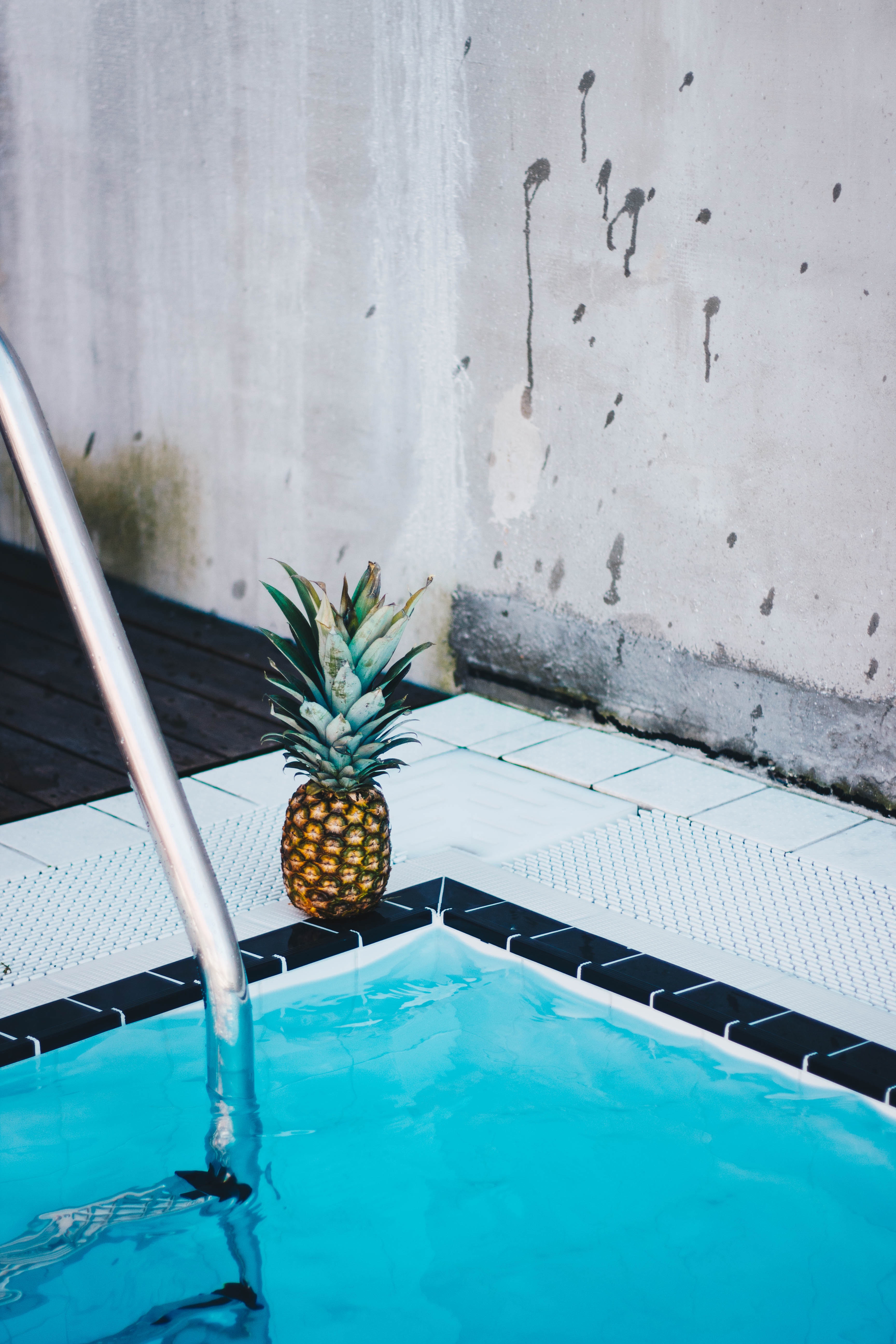 Pineapple beside the swimming pool photo