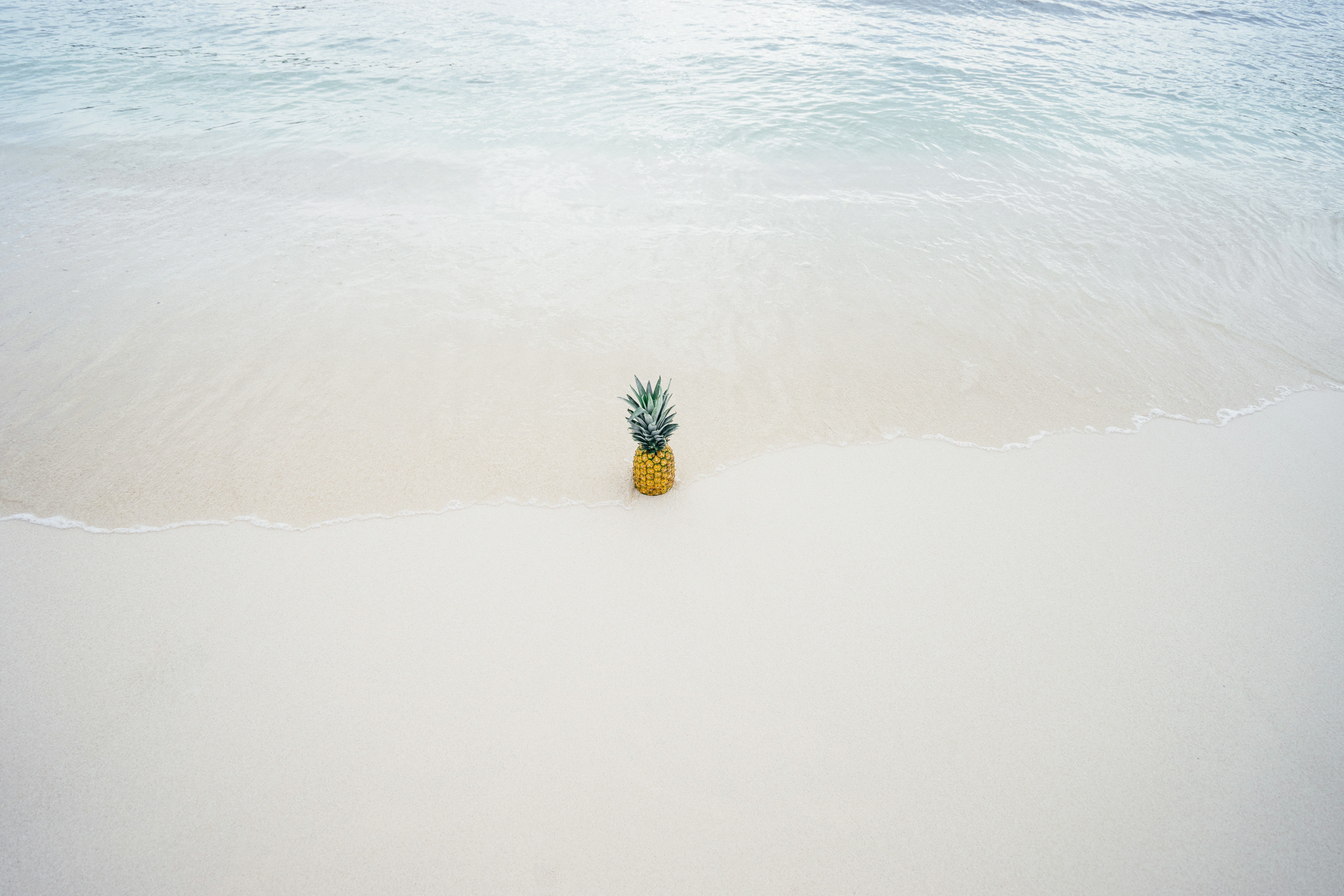 Pineapple in the middle of the seashore photo