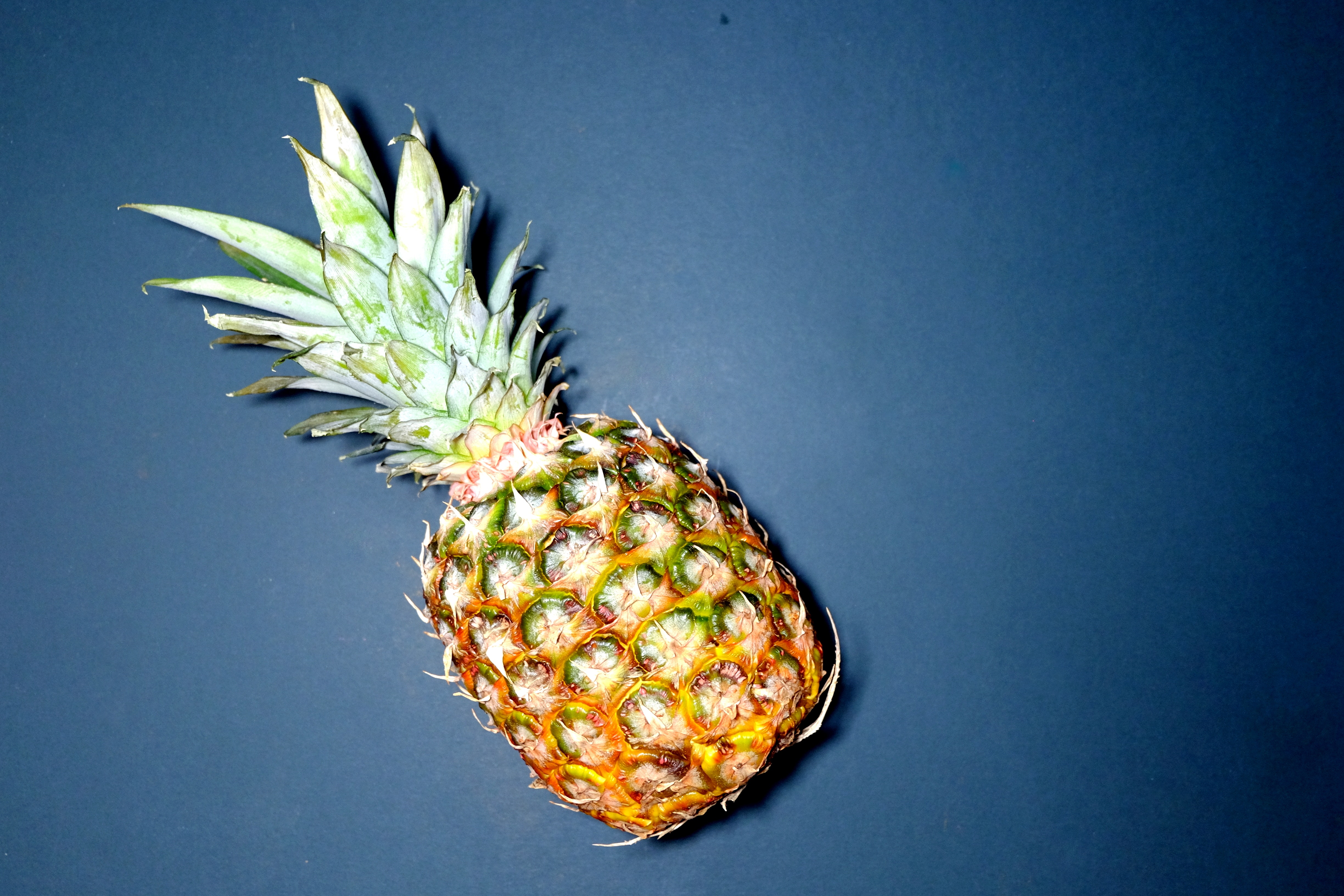 Pineapple on blue surface photo