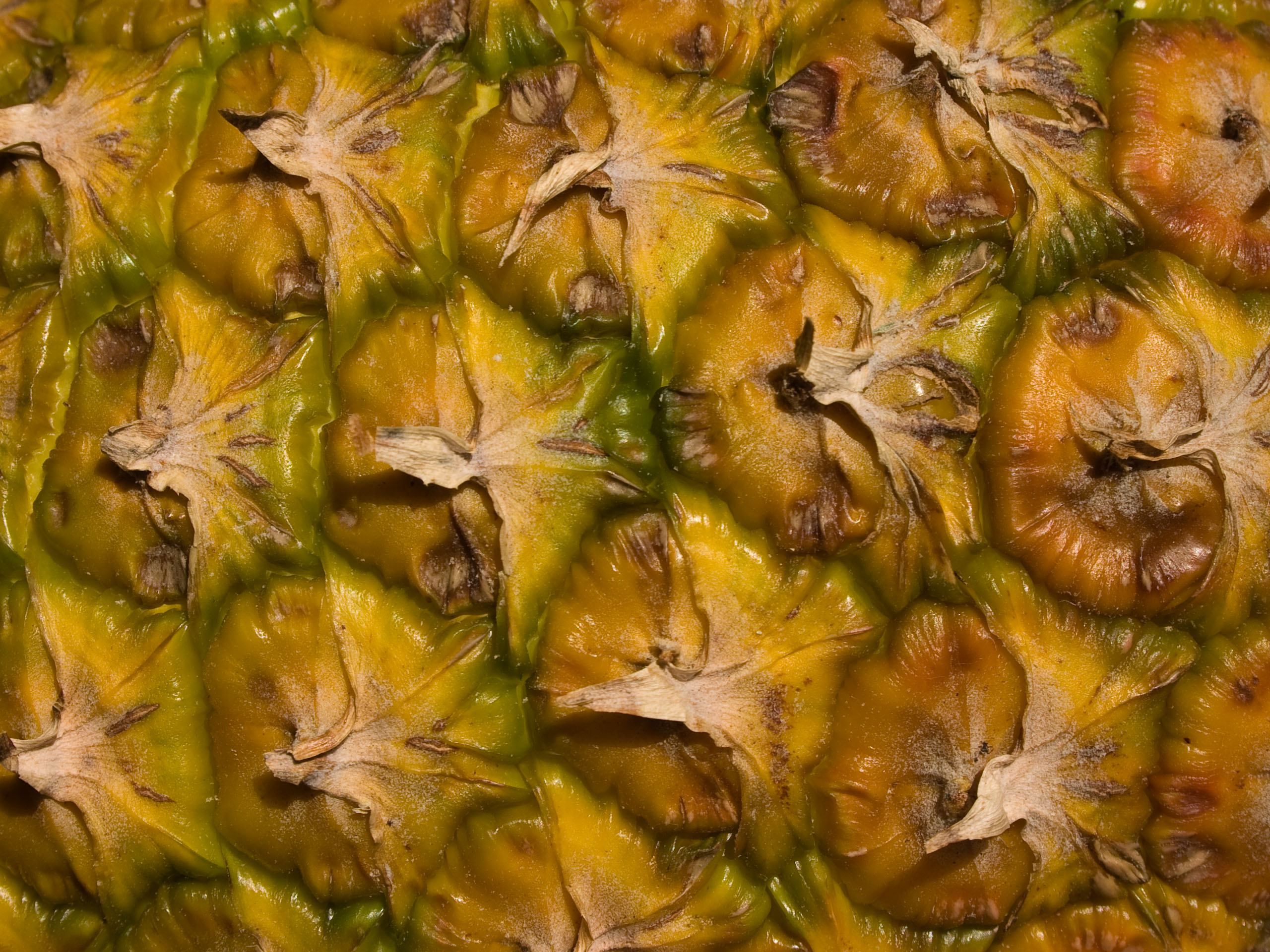 Pineapple peel texture photo
