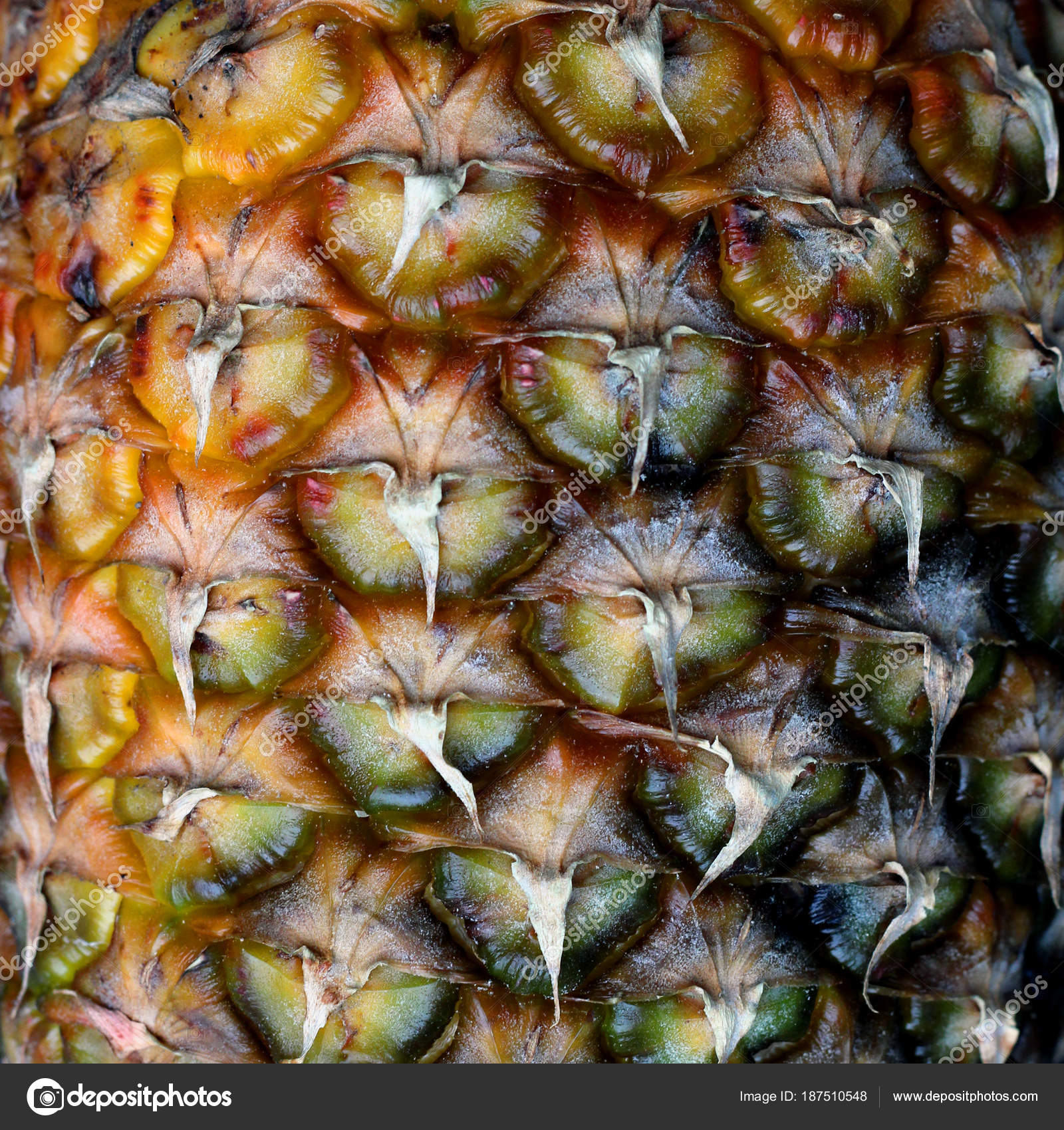 Pineapple texture closeup — Stock Photo © helgaknut #187510548