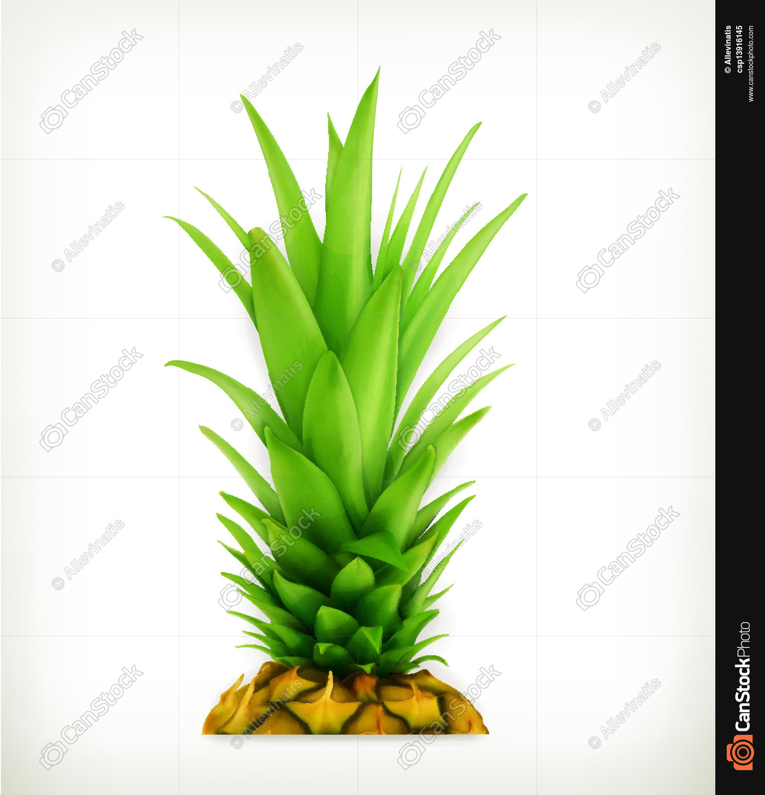 Pineapple top vector eps vector - Search Clip Art, Illustration ...