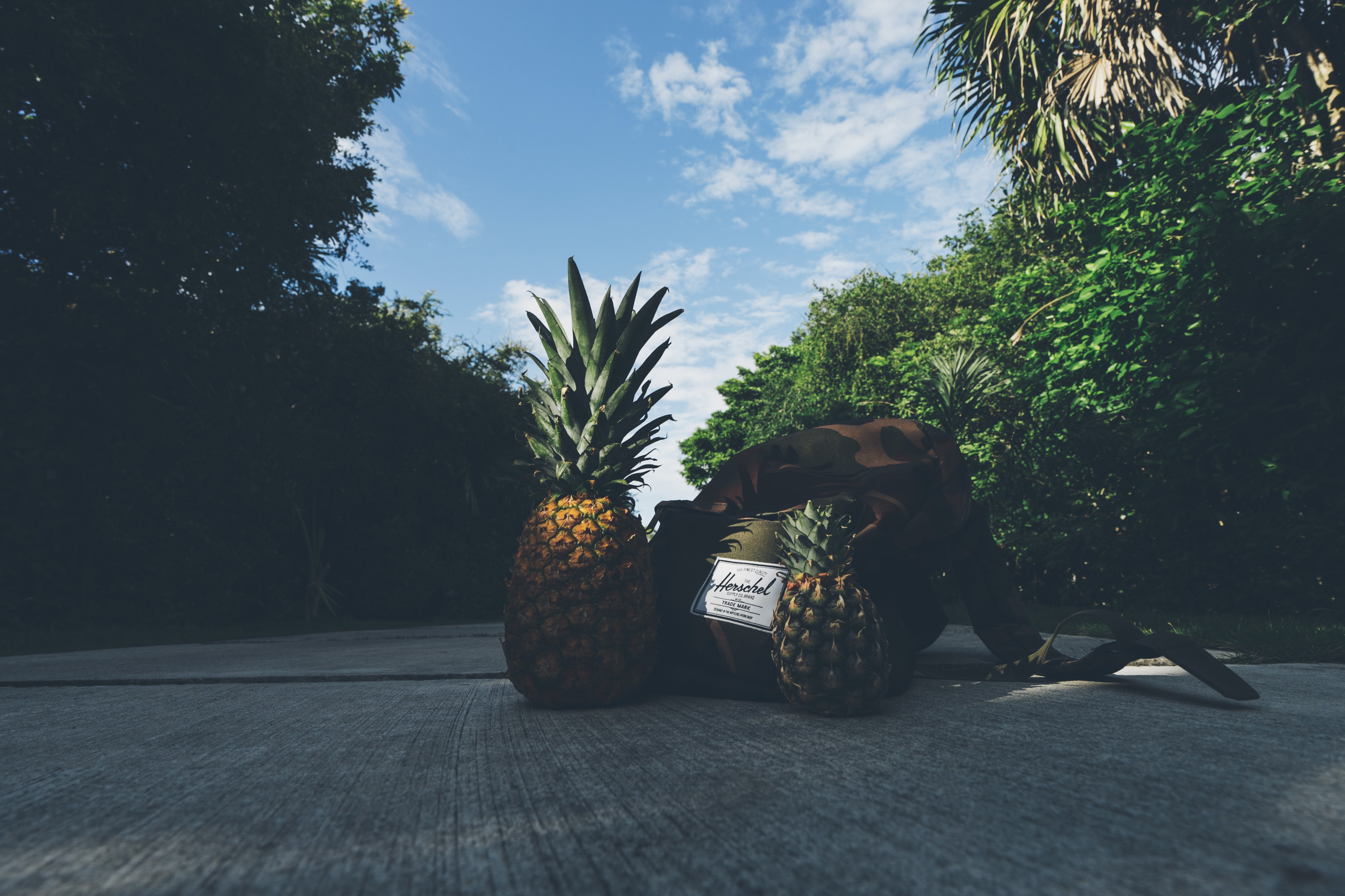 Pineapples Beside Backpack, Backpack, Pathway, Tropical, Trees, HQ Photo