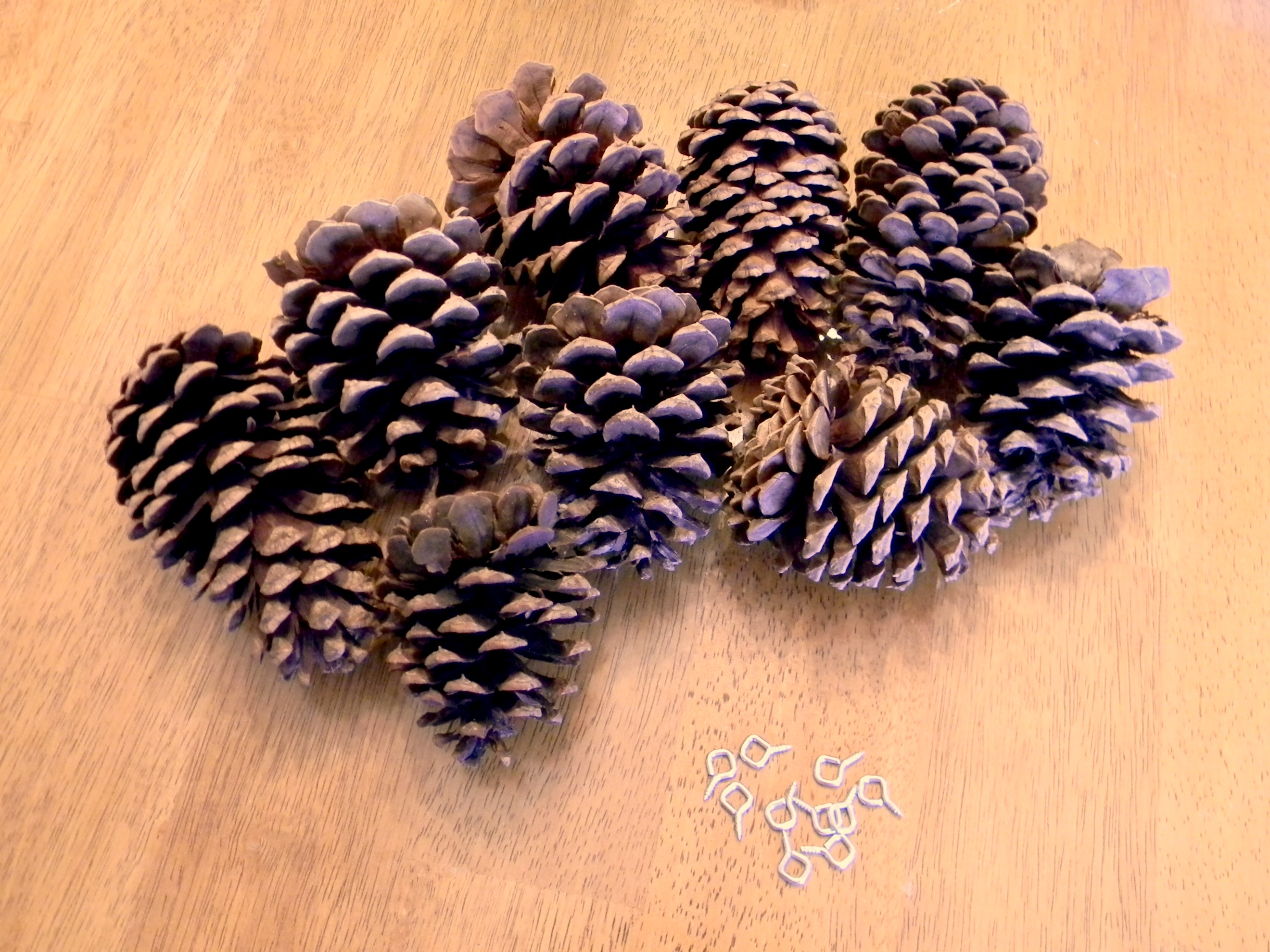 Pinecone Garland - Organize and Decorate Everything