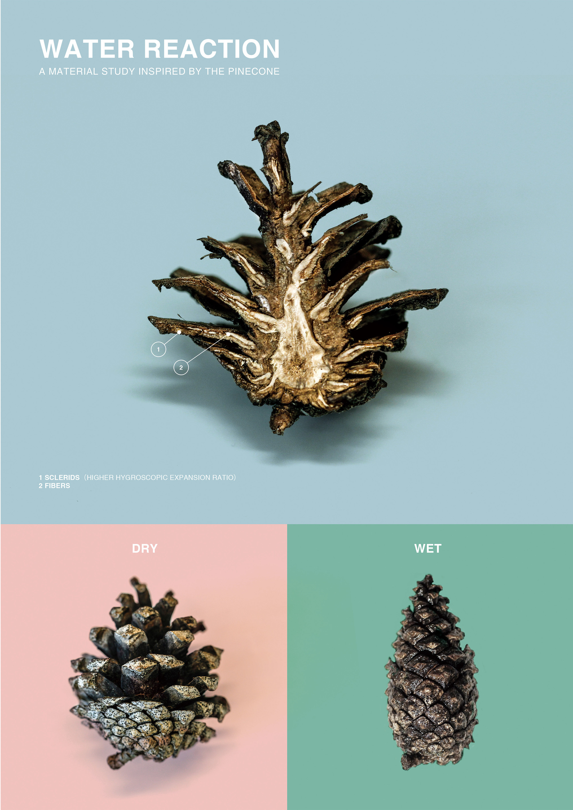 Building Elements Come Alive with this Pinecone-Inspired Material ...