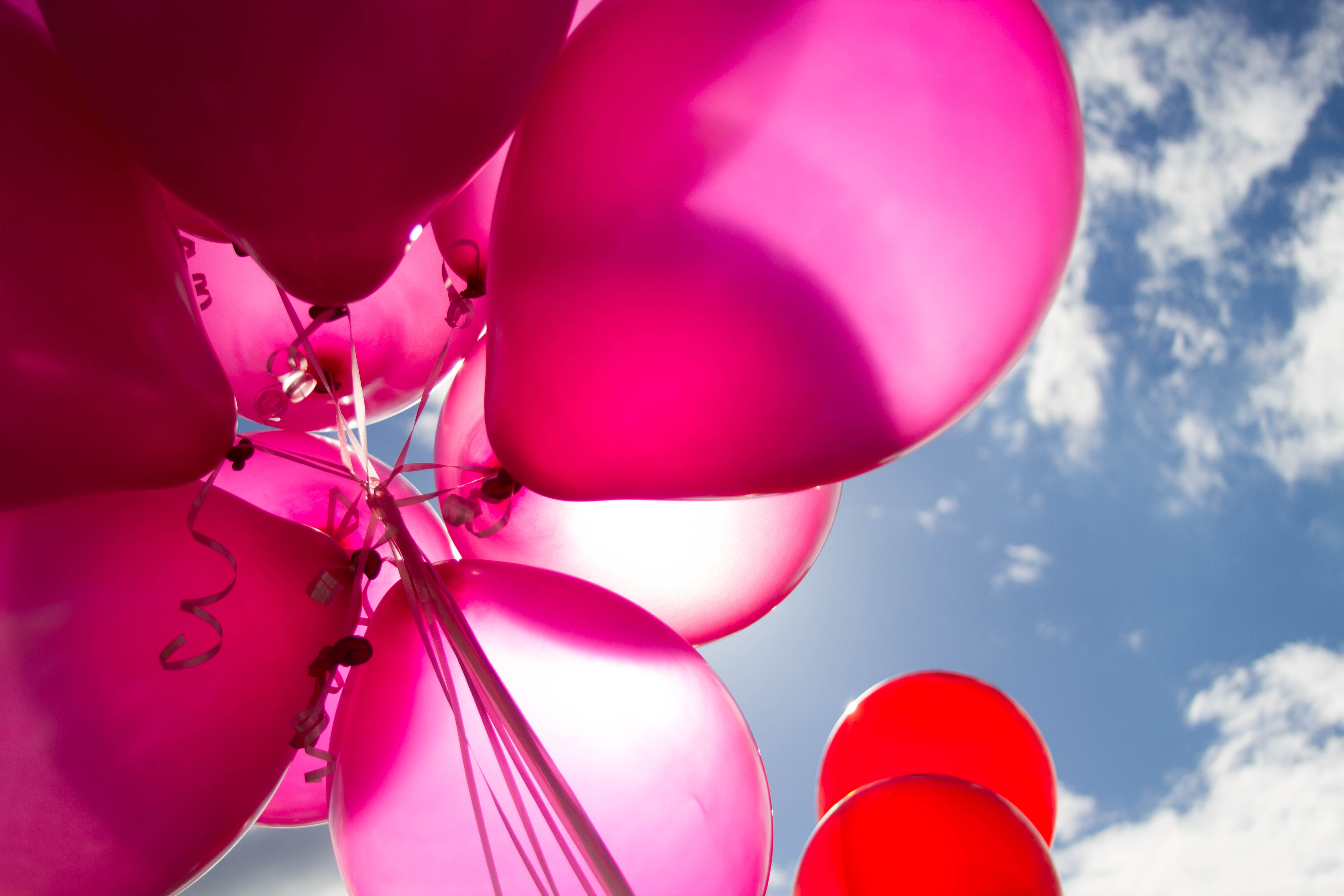Pink and red balloons during daytime photo