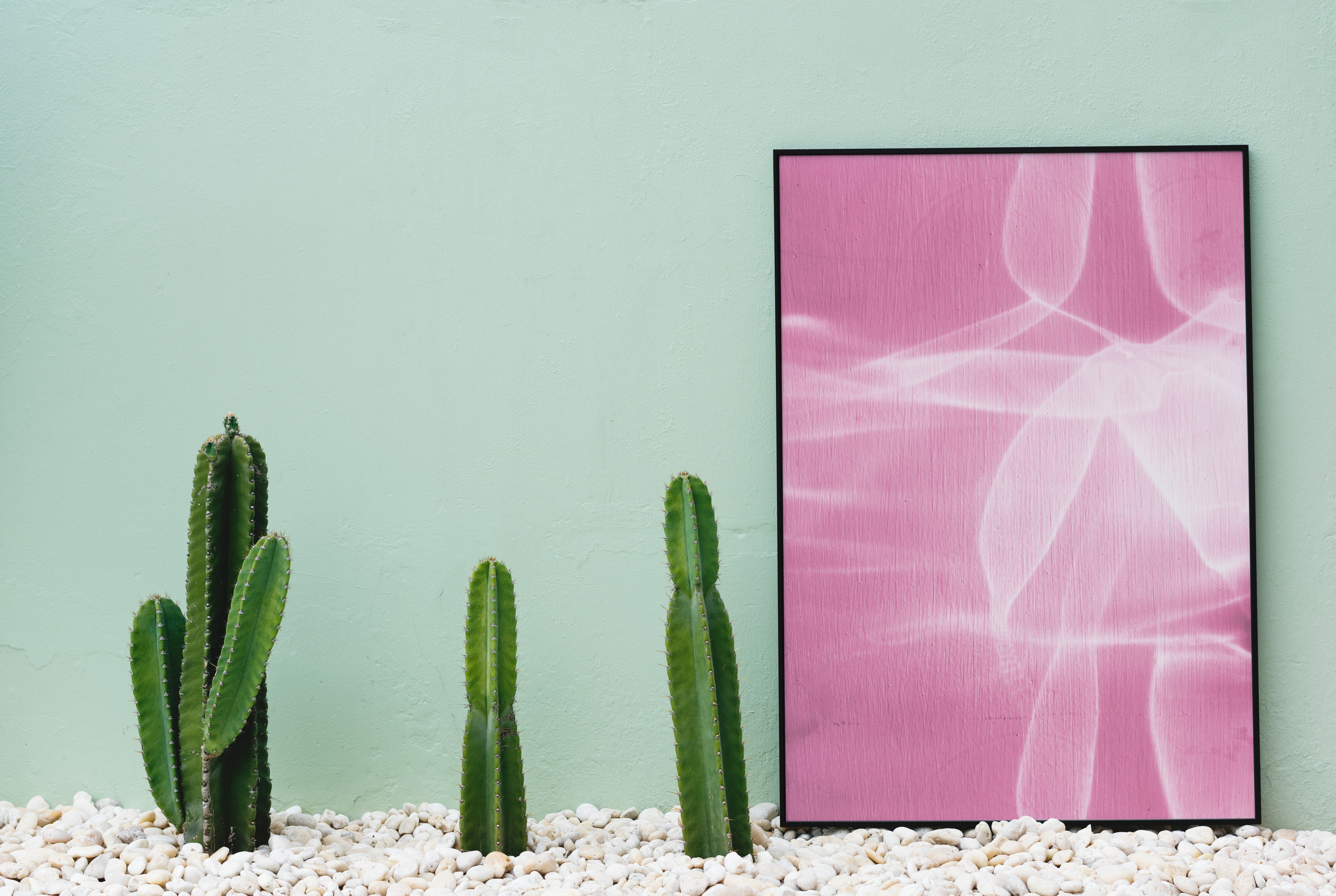 Pink and white abstract painting near green cactus photo