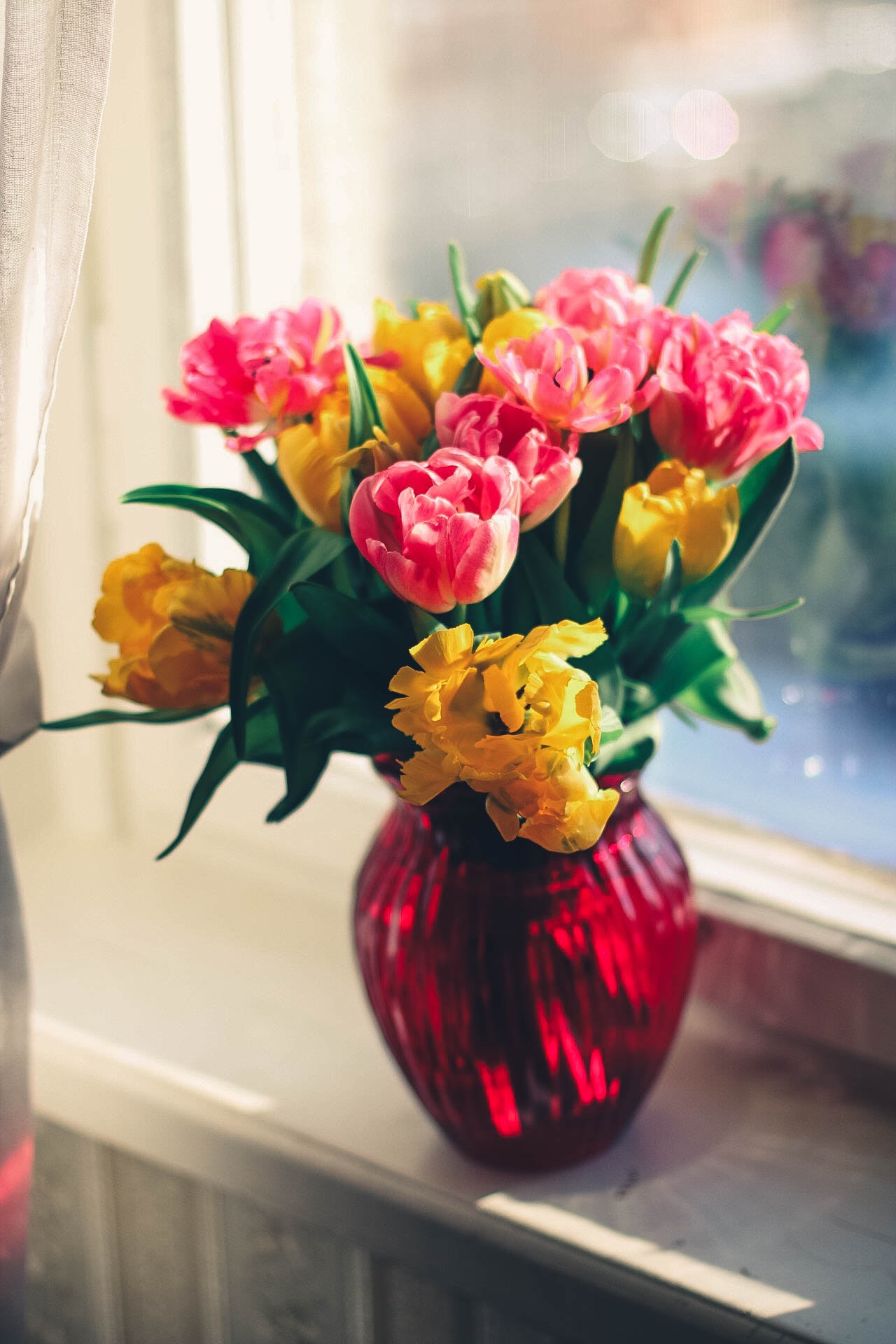 Pink and Yellow Petaled Flower on Red Glass Vase, Bloom, Bouquet, Decoration, Flora, HQ Photo