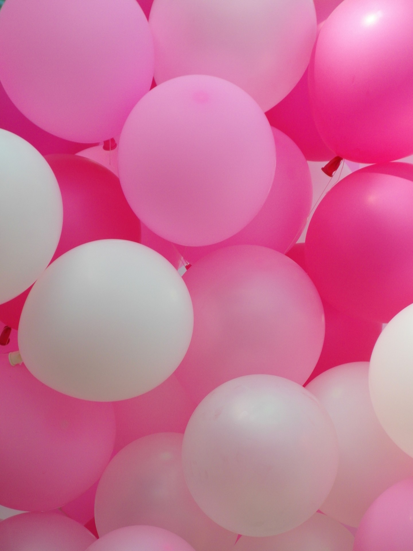 Pink Balloons Free Stock Photo - Public Domain Pictures