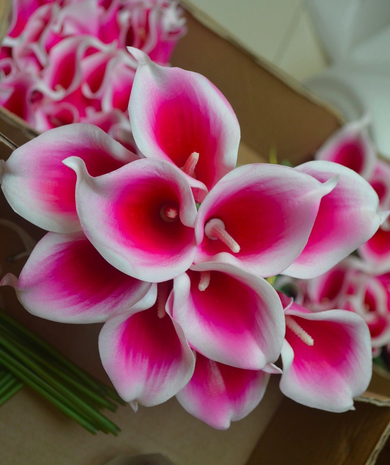 10pcs Hot Pink Picasso Calla Lilies Real Touch Flowers for Silk ...