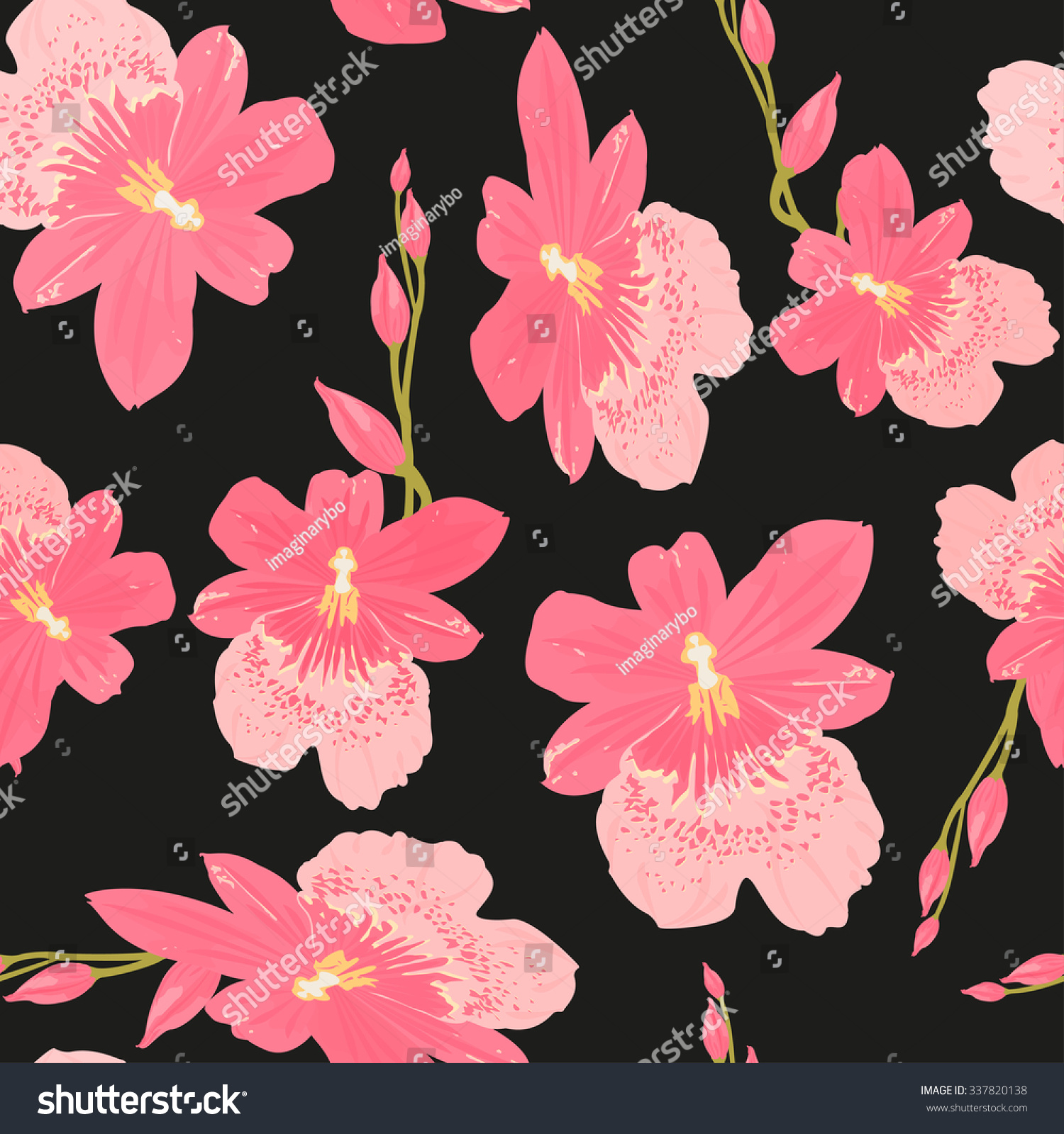 Seamless Pink Cambria Orchid Flower Pattern Stock Vector 337820138 ...