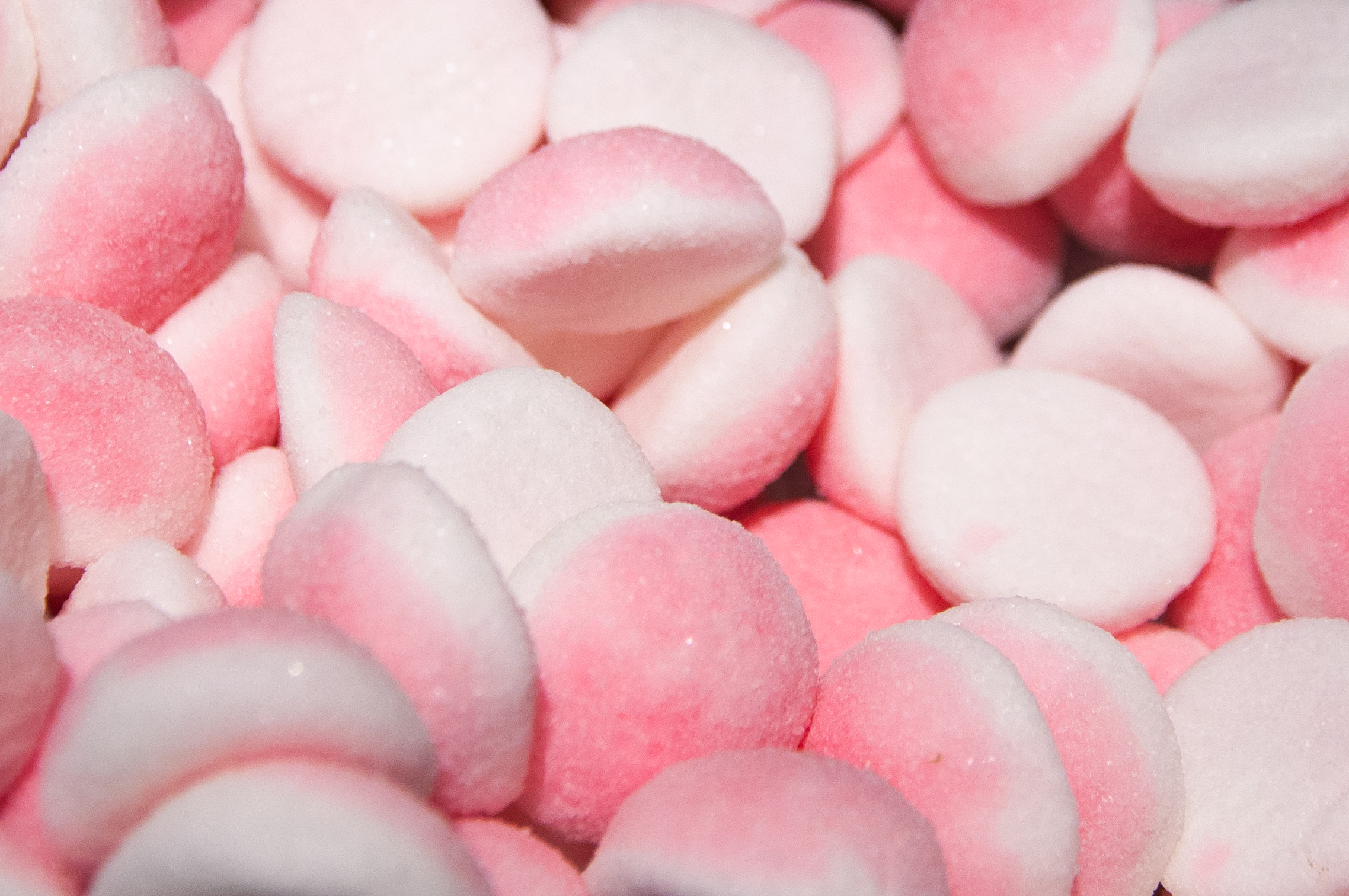 Pink candy photo