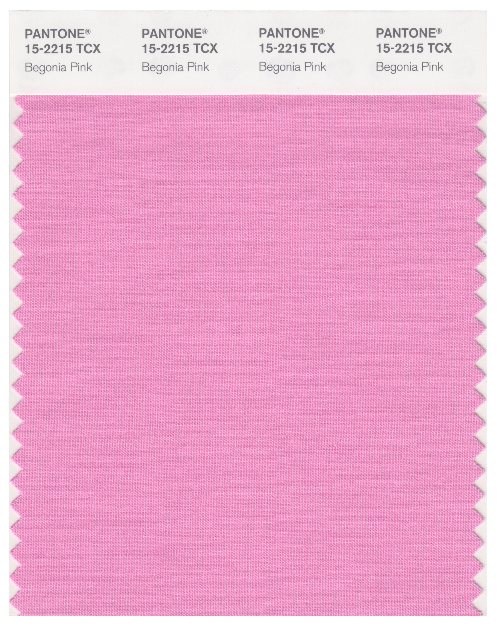 Pantone Smart 15-2215 TCX Color Swatch Card | Begonia Pink ...