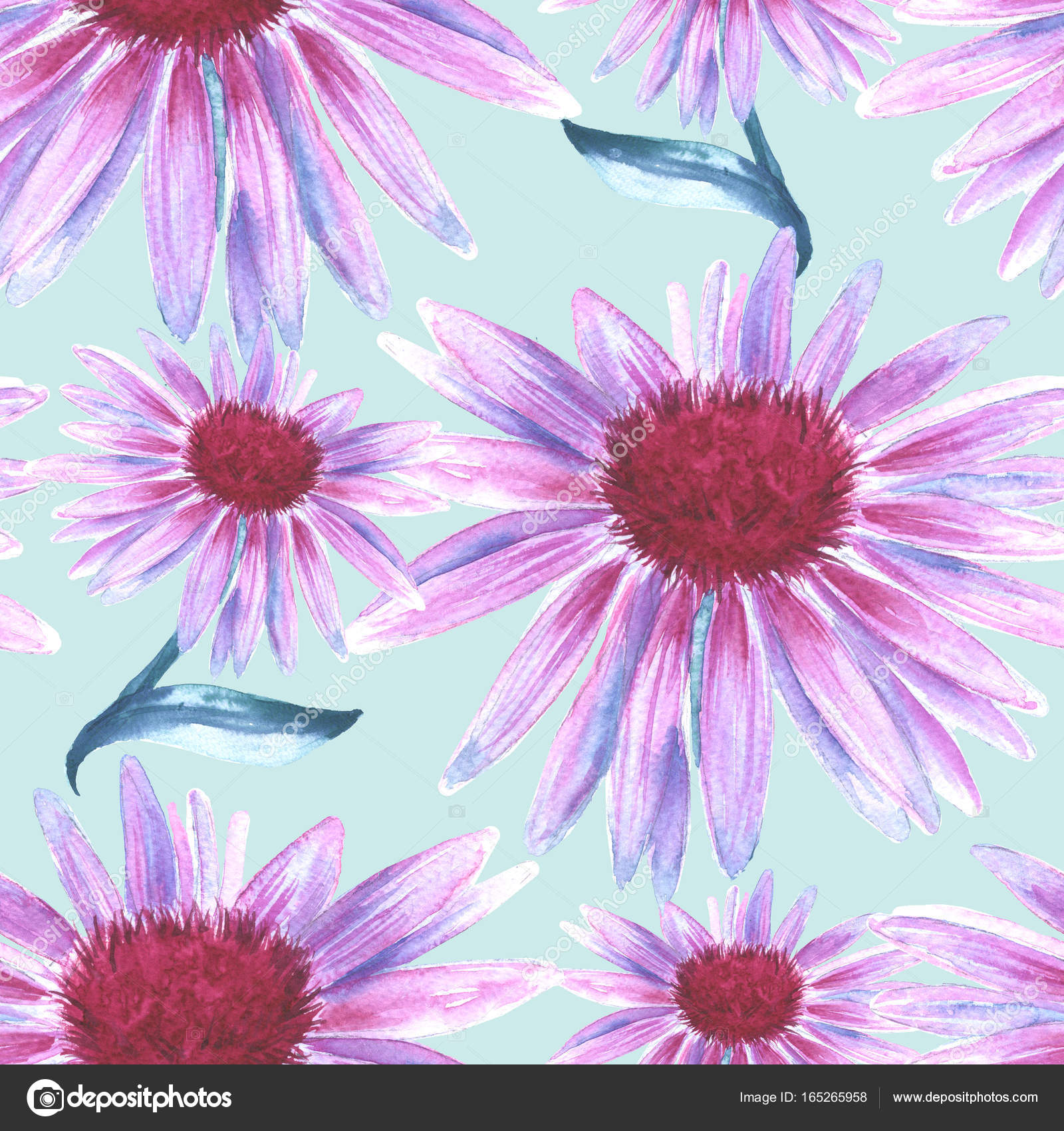Background of flowers pink. chamomile. seamless pattern. — Stock ...
