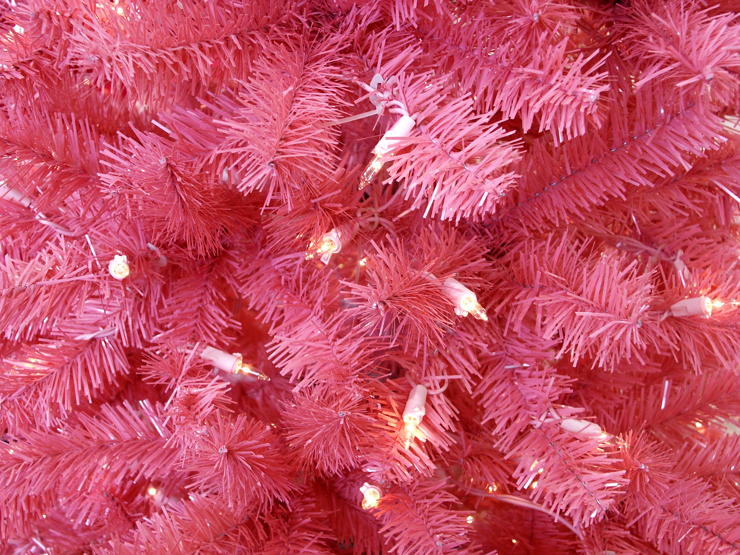 Pink Christmas tree, Artificial, Seasonal, Object, Old, HQ Photo