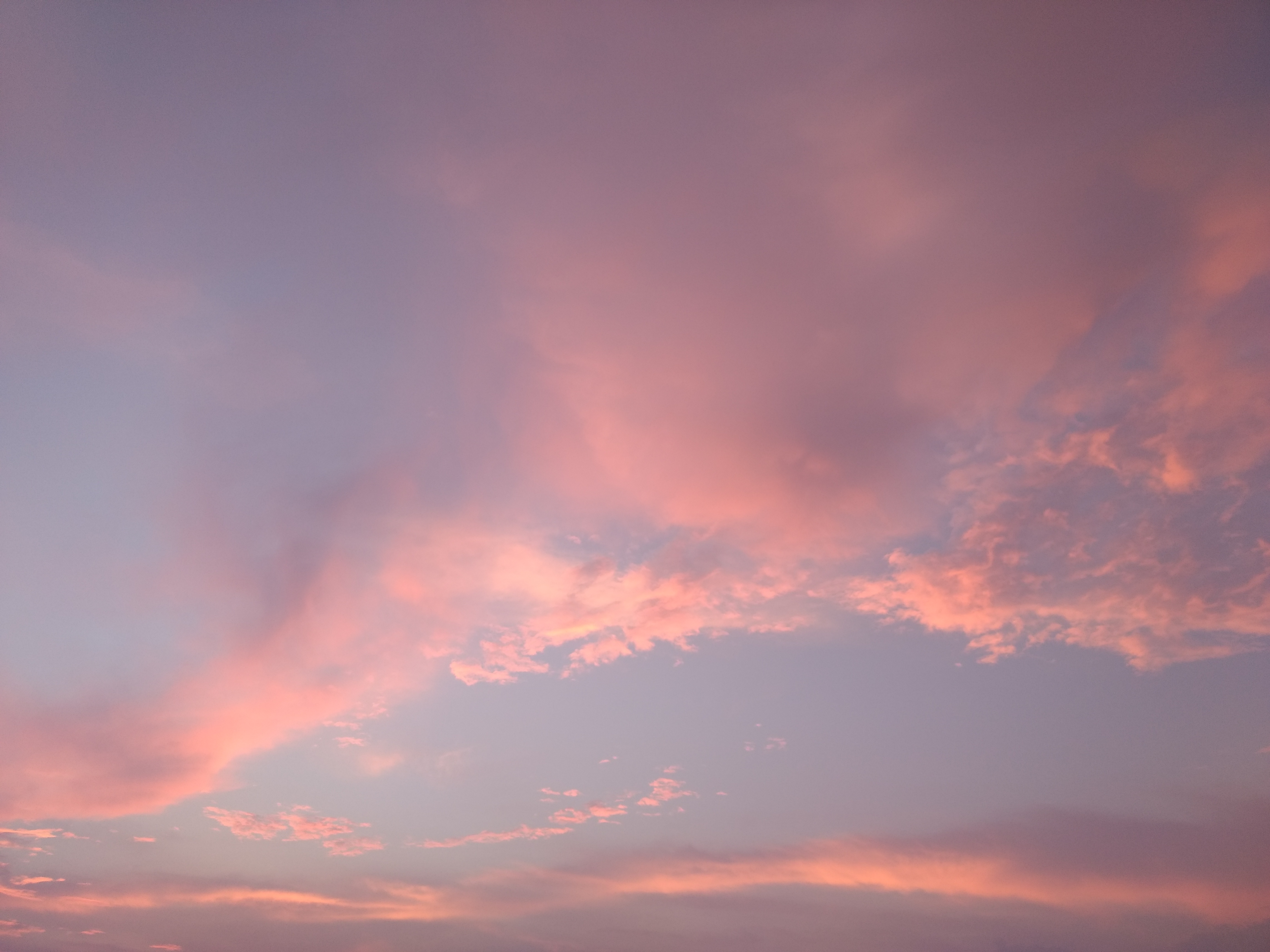 Pink clouds photo