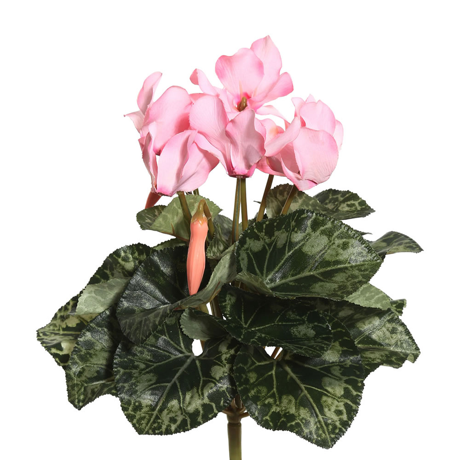 Light Pink Cyclamen Bush Vickerman Florals: Arrangements Faux ...