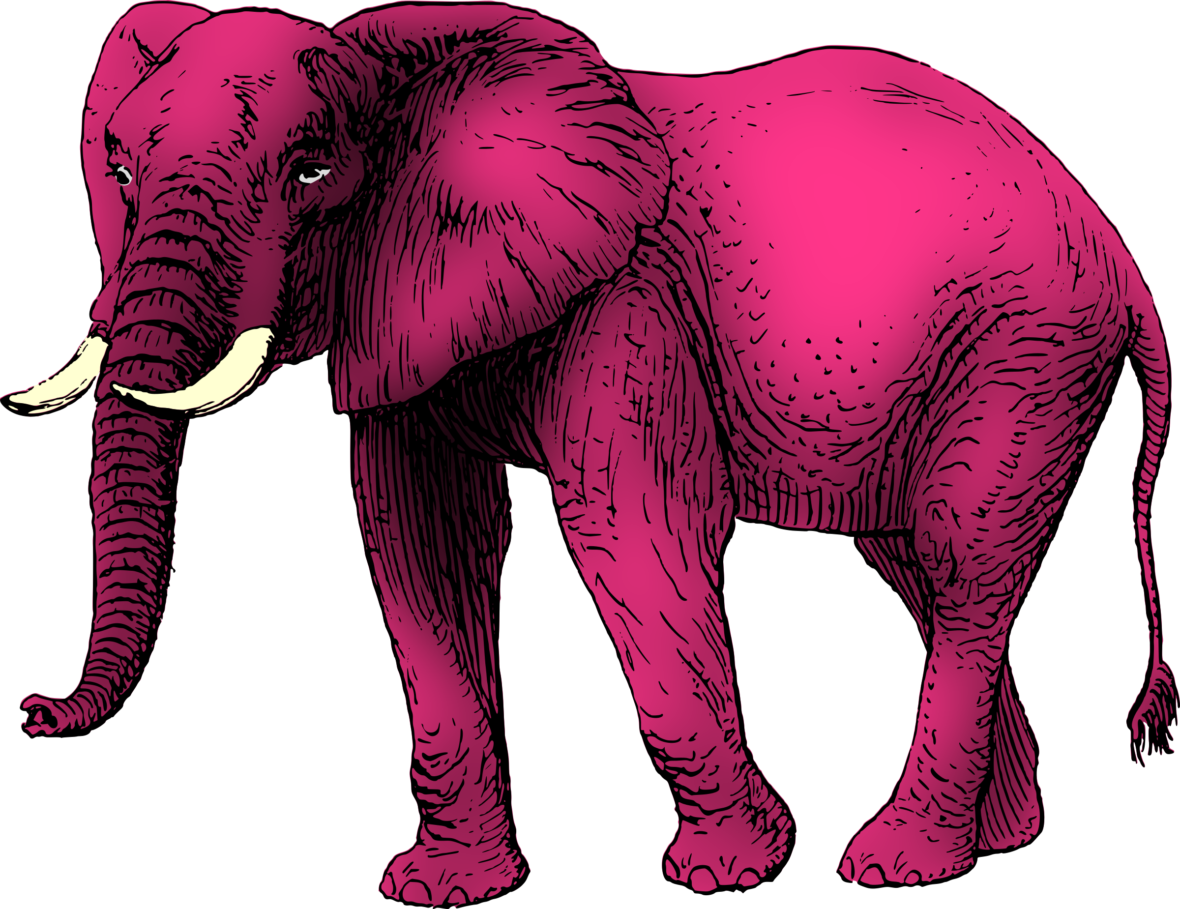Pink elephant Icons PNG - Free PNG and Icons Downloads