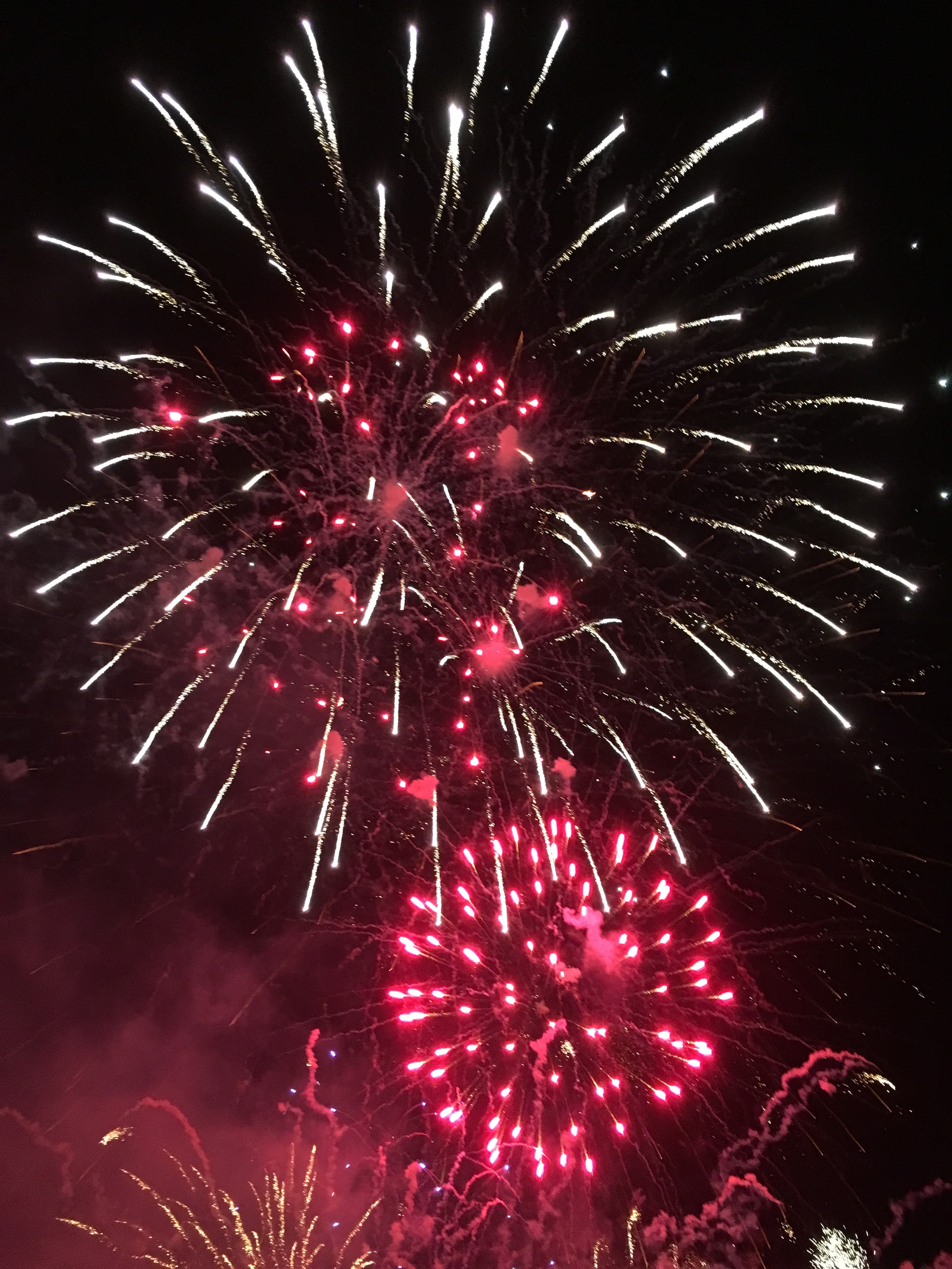 Free stock photo of firework, fireworks, pink