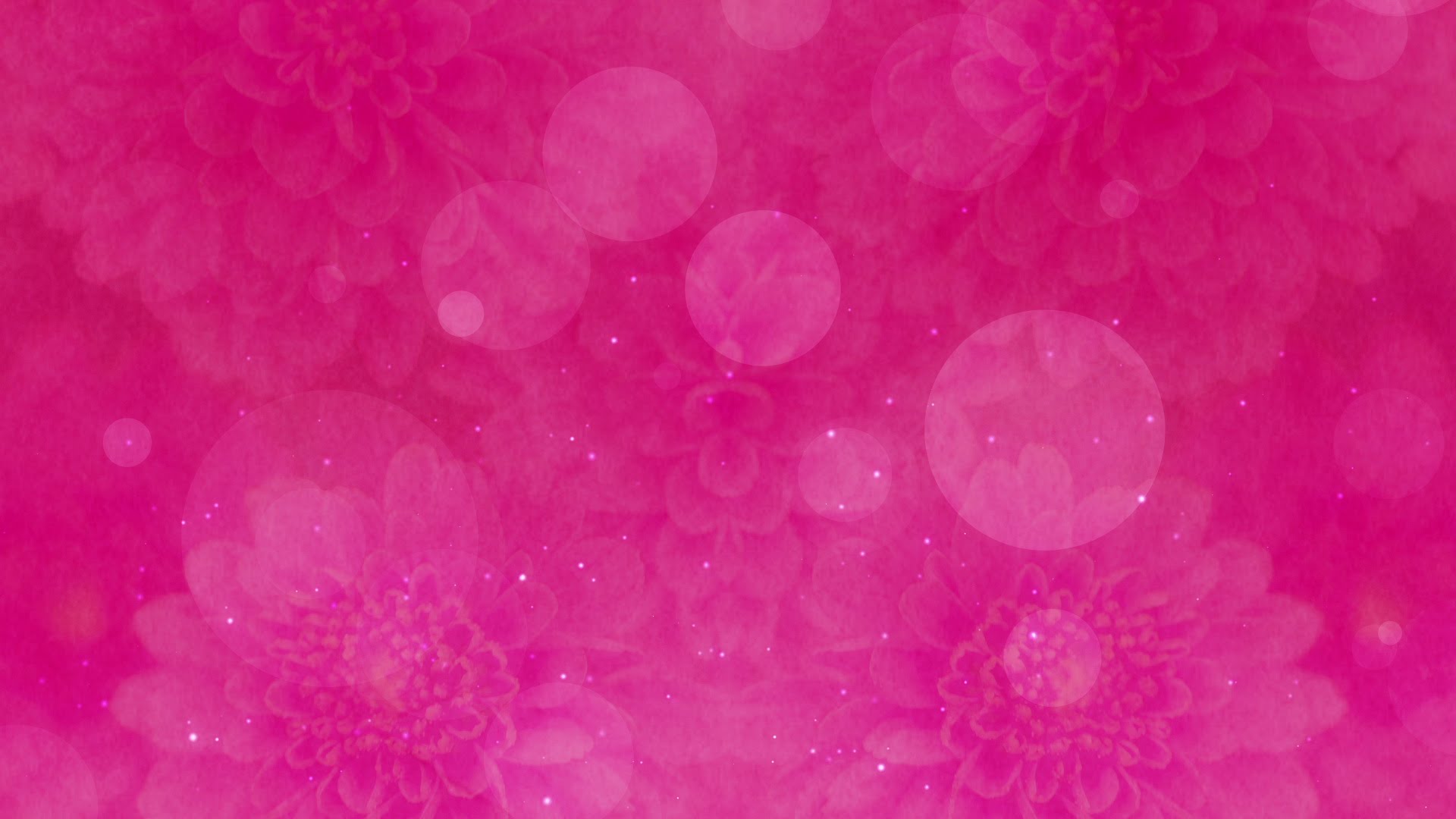 Pink Floral Bokeh - HD Video Background Loop - YouTube