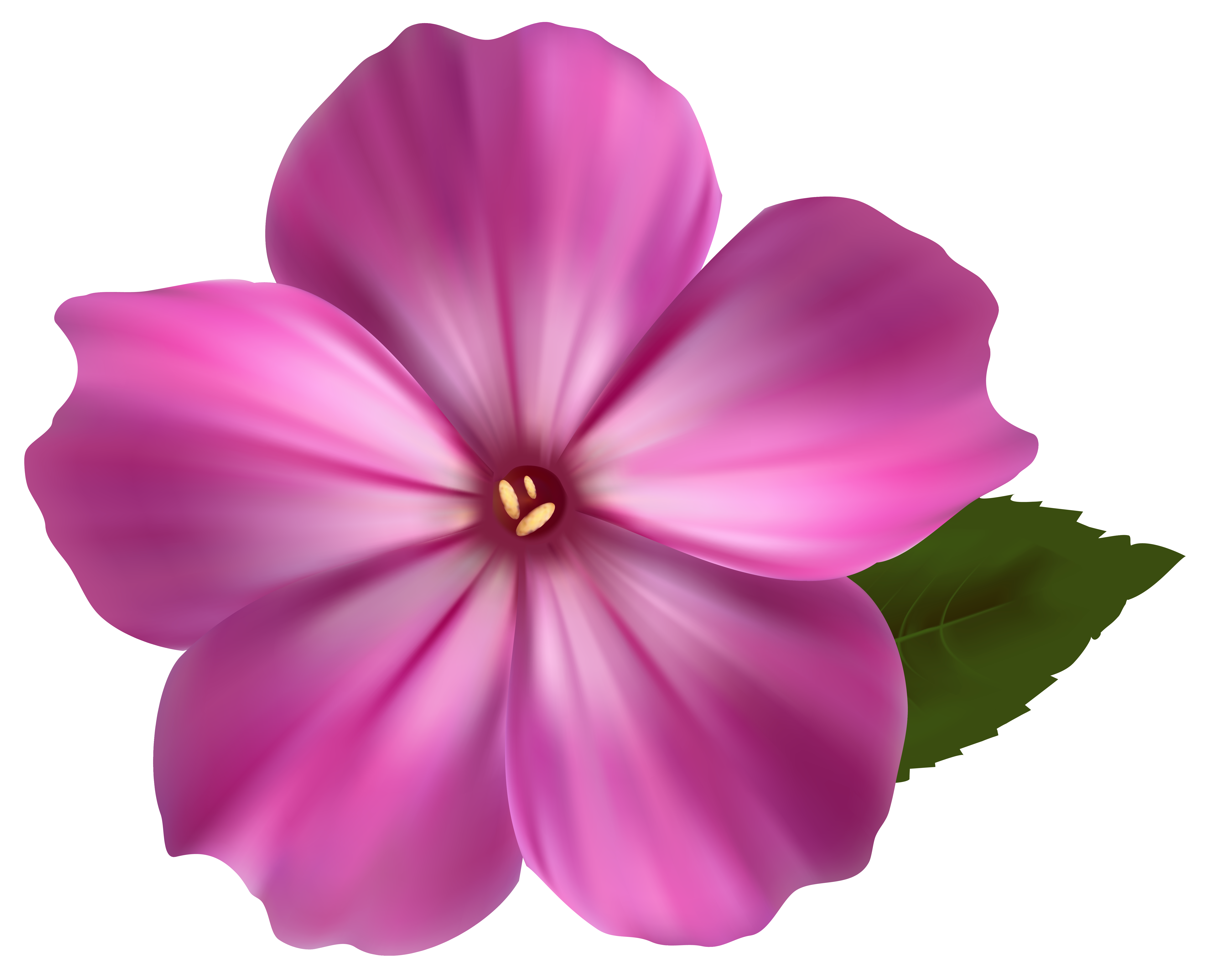 Pink Flower PNG Clipart Image | Gallery Yopriceville - High-Quality ...