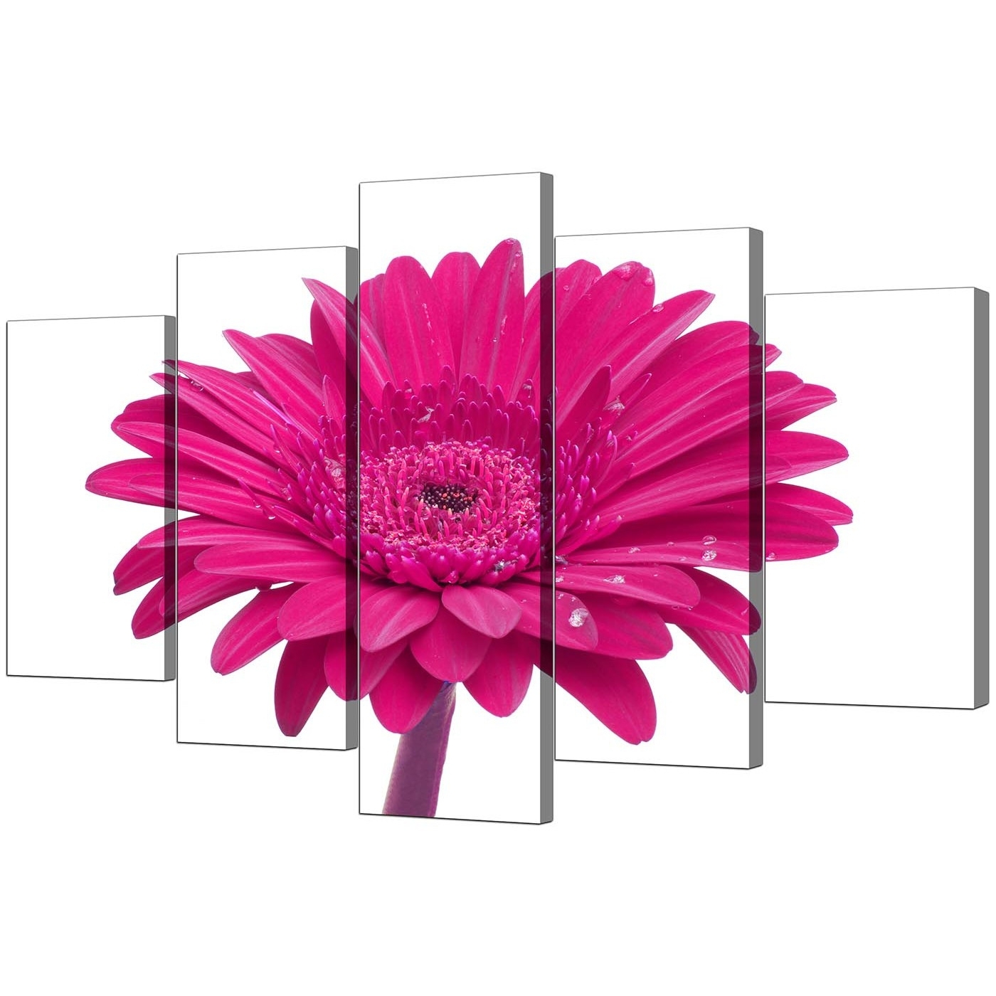 15 Best Collection of Pink Flower Wall Art
