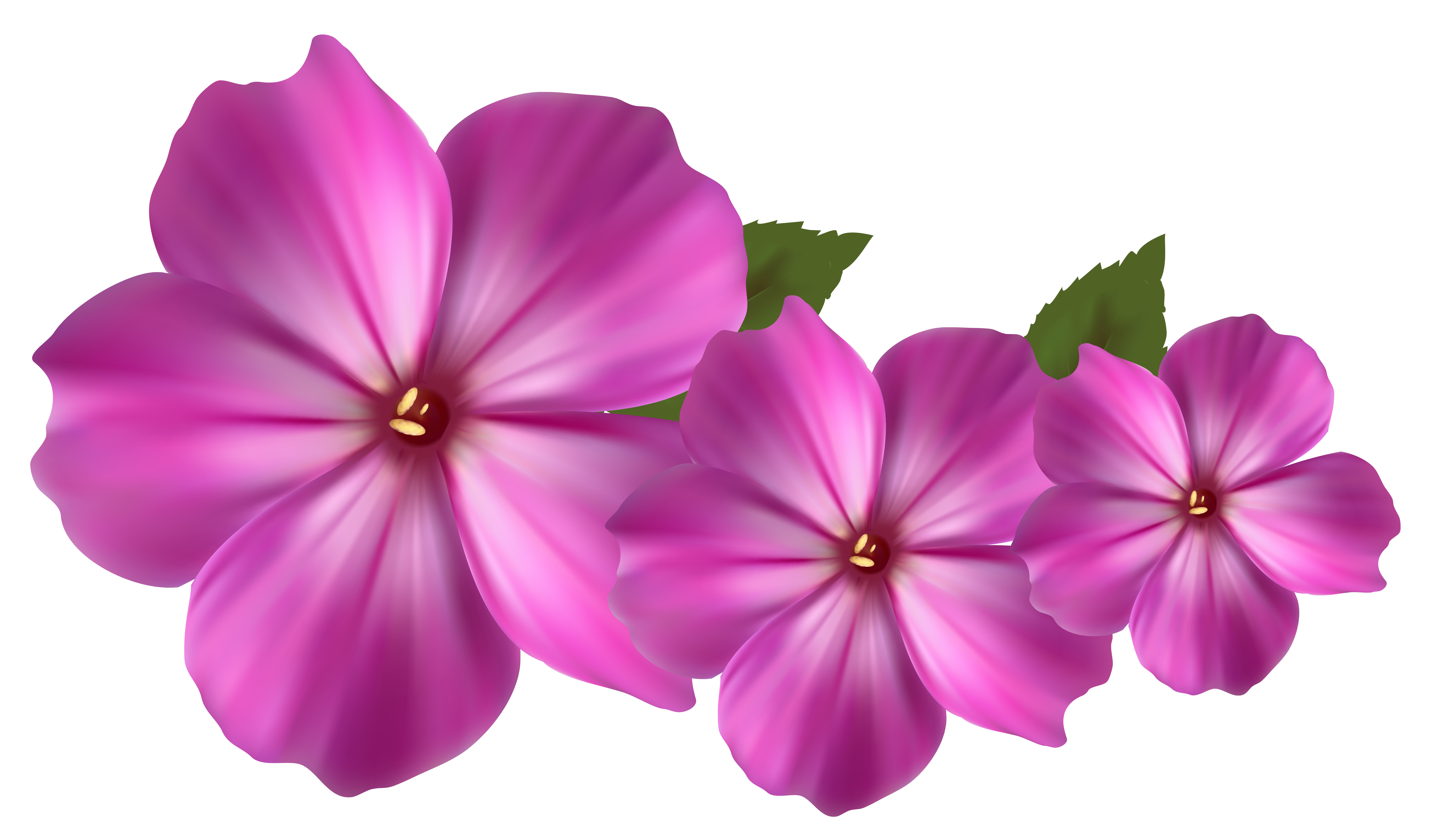 Pink Flower Decor PNG Clipart | Gallery Yopriceville - High-Quality ...