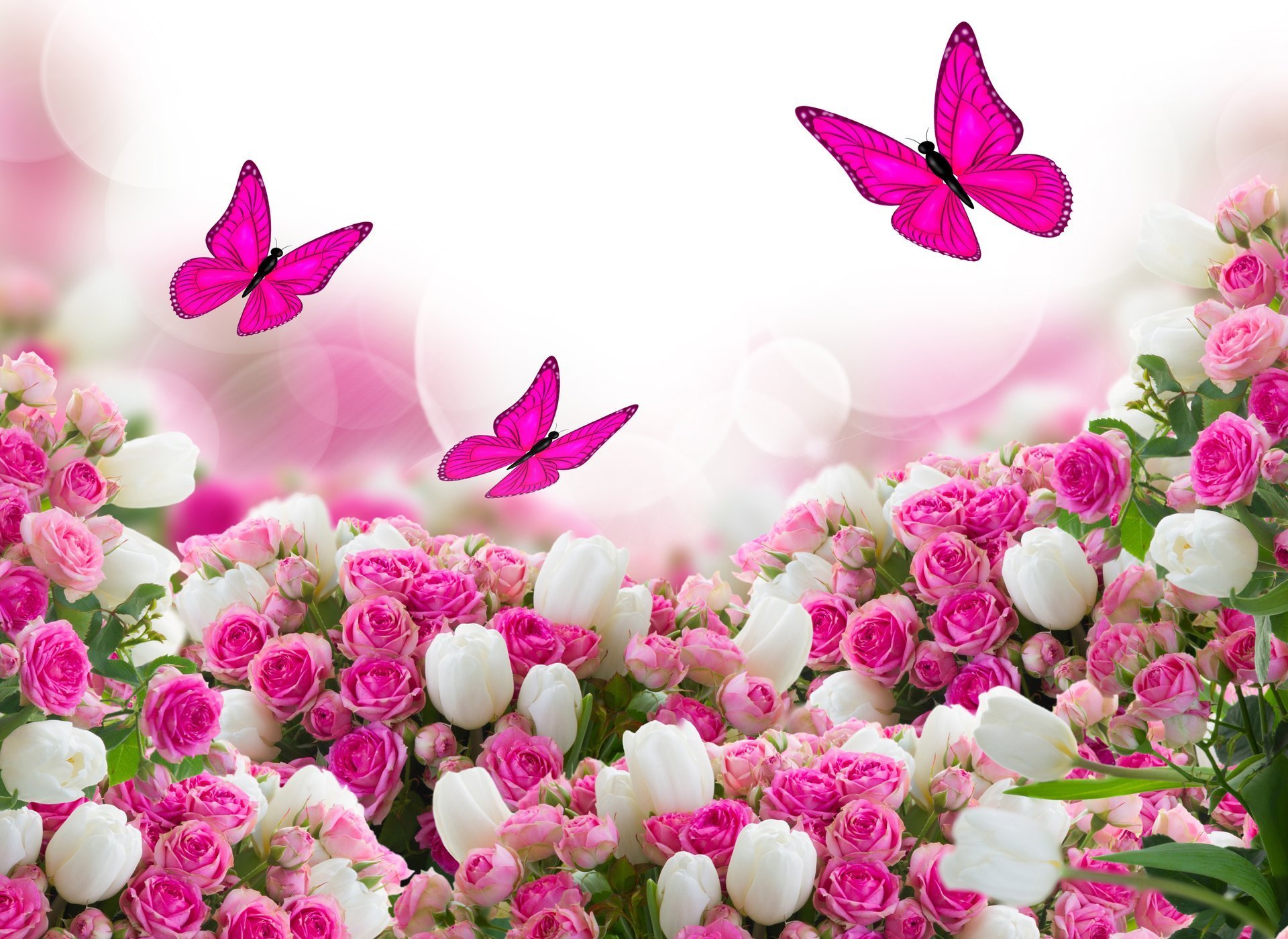 Pink Flower Clipart Butterfly Flower Many Interesting Cliparts