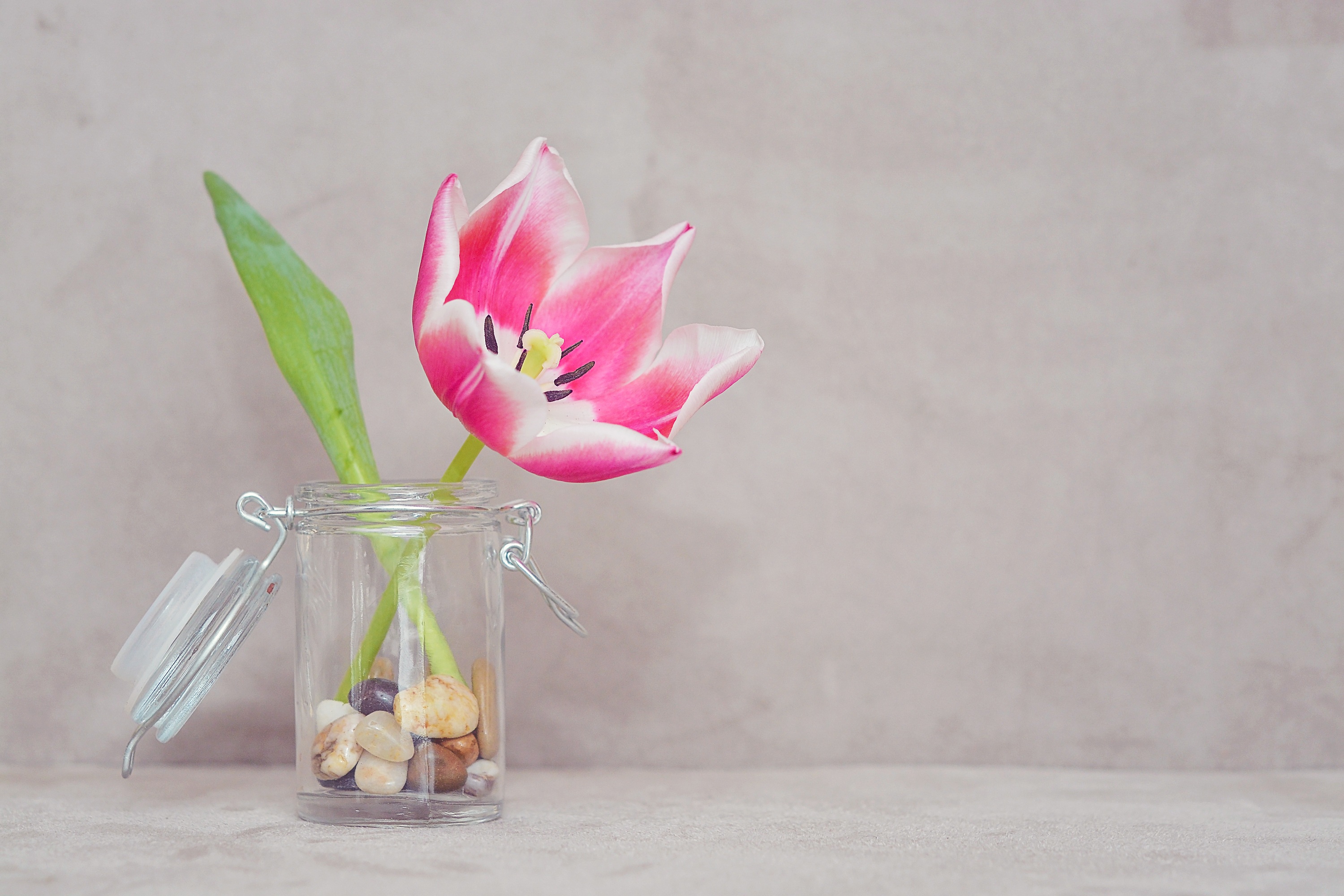 Какая вода для тюльпанов в вазе. Тюльпаны в вазе. Тюльпаны в стеклянной вазе. Цветы в прозрачной вазе. Весенние цветы в бокале.