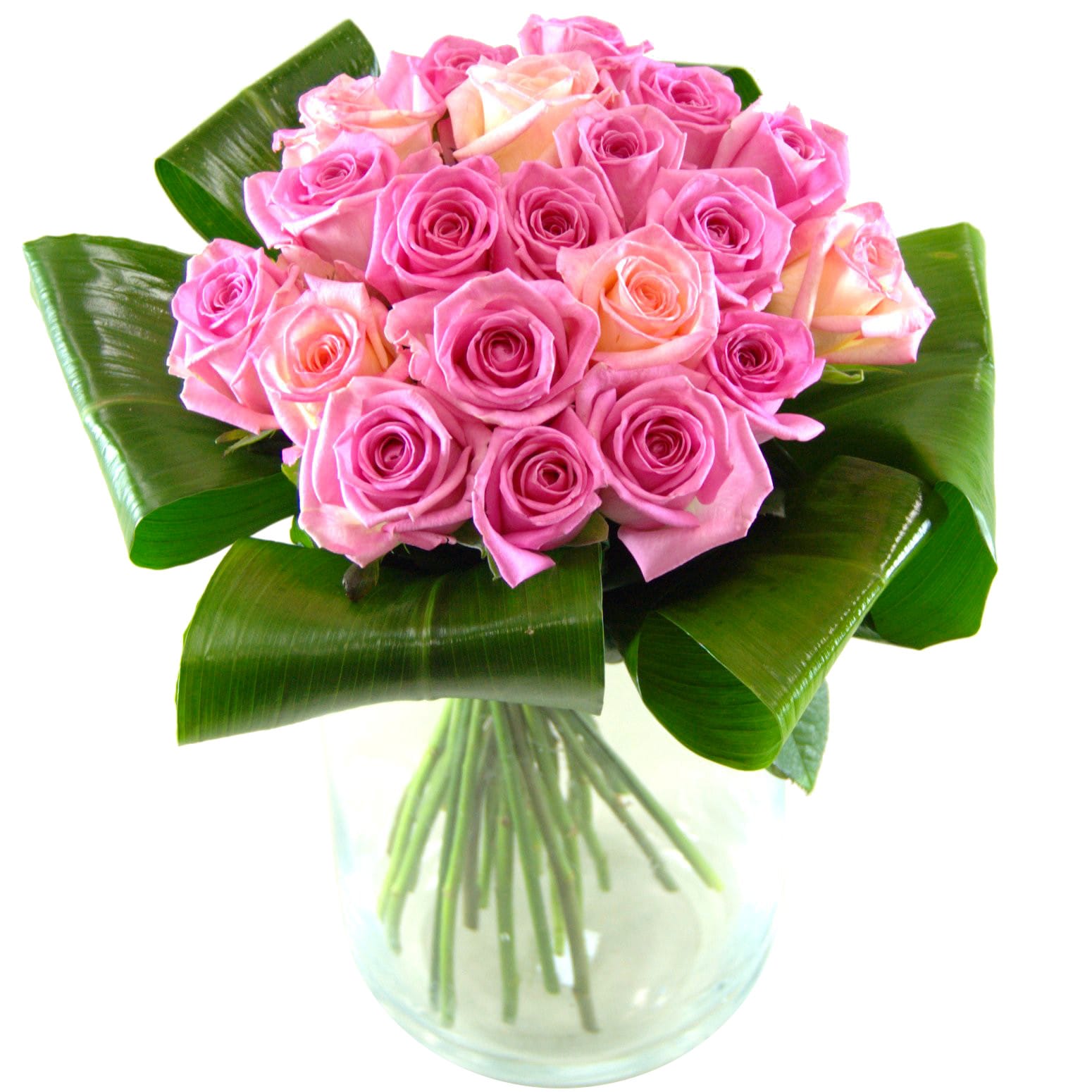 Grace Pink Roses Fresh Flower Bouquet | Beautiful Pink Roses Hand ...