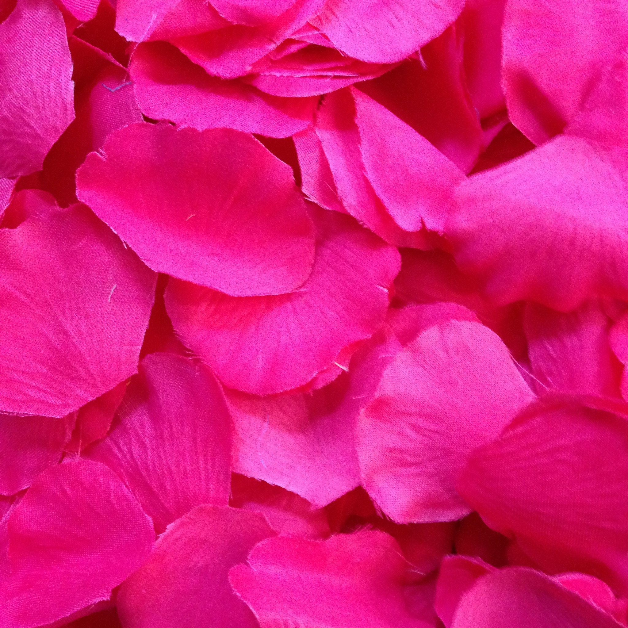 500 Hot Pink Silk Rose Petals - My Wedding Store